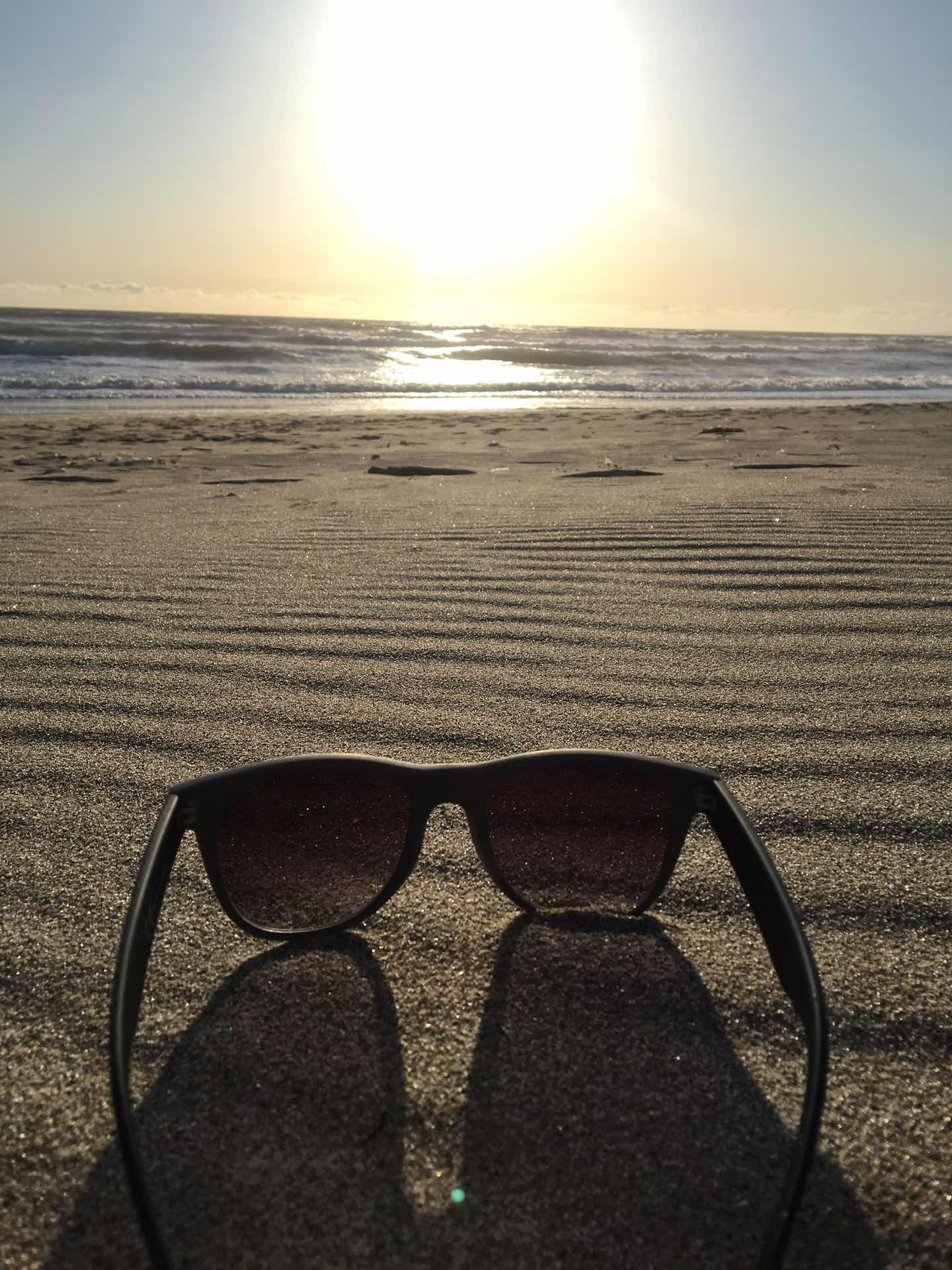 Pajaro  Dunes Palm Beach