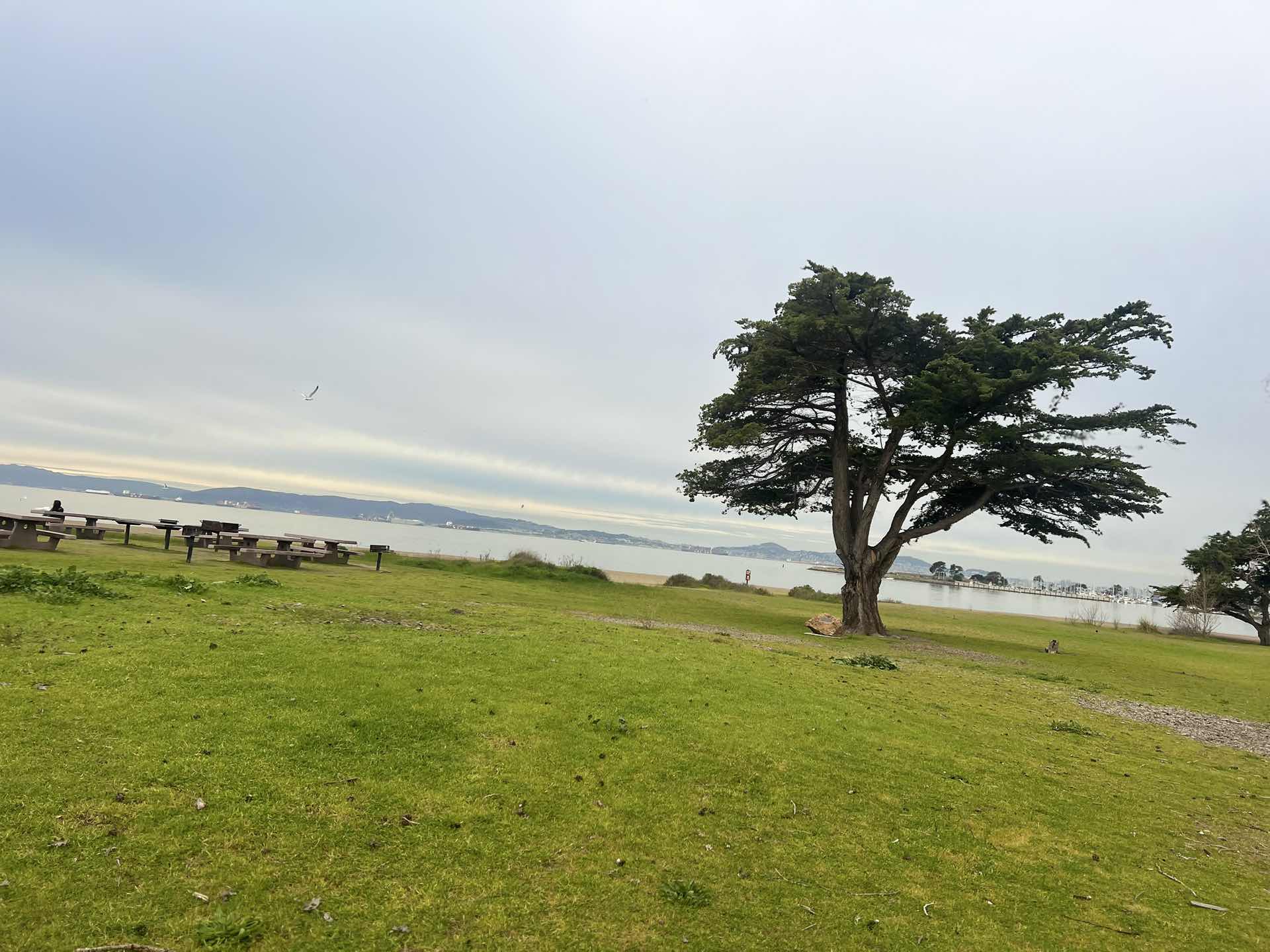 Crown Beach