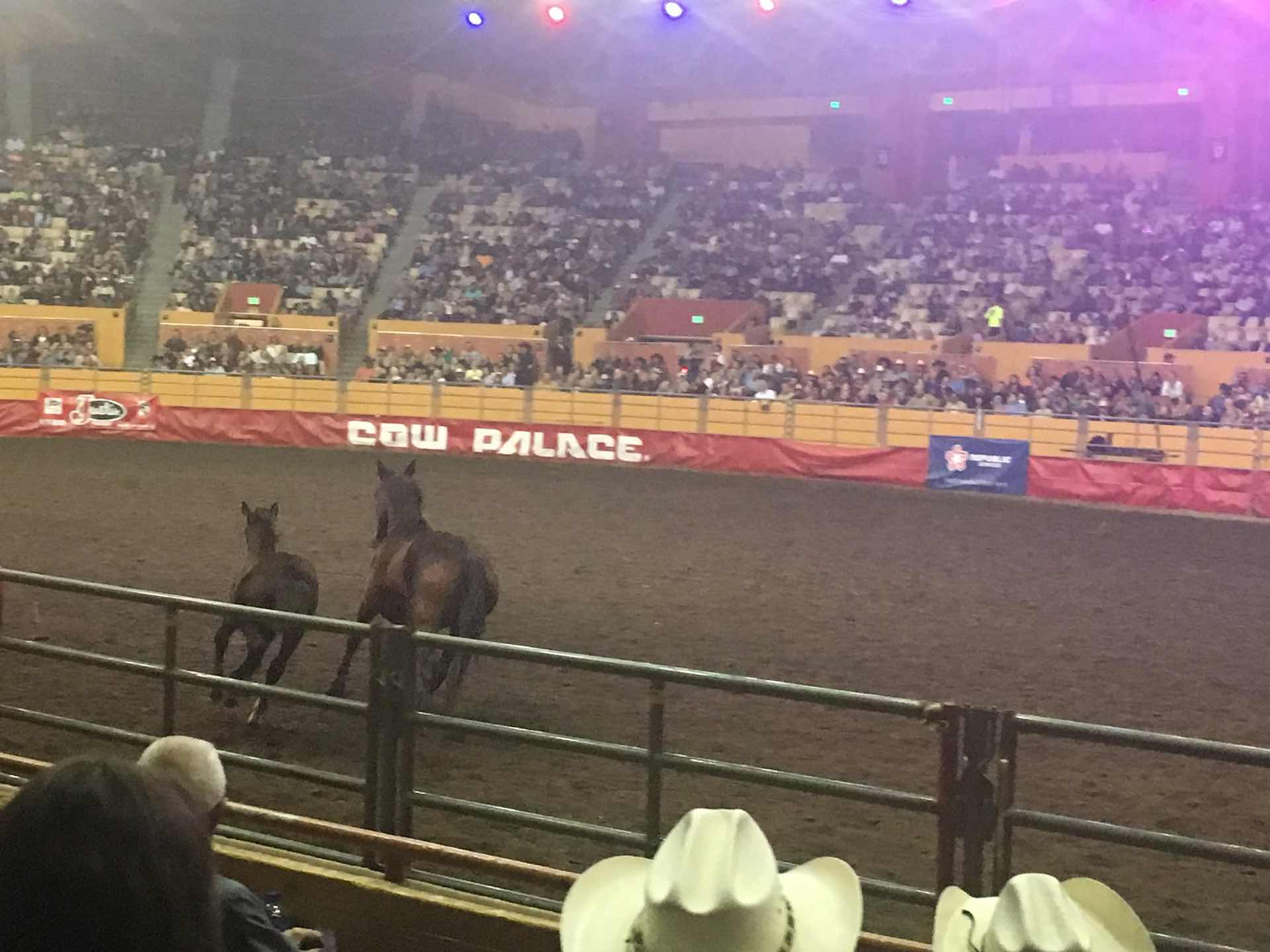 Rodeo and Hempcon 