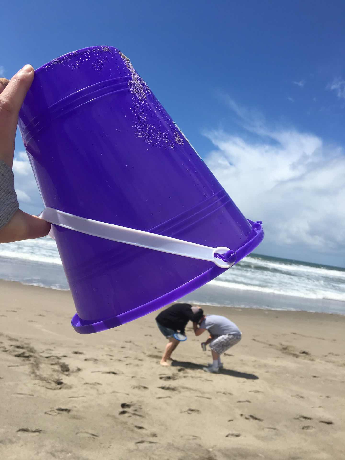 Pajaro  Dunes Palm Beach