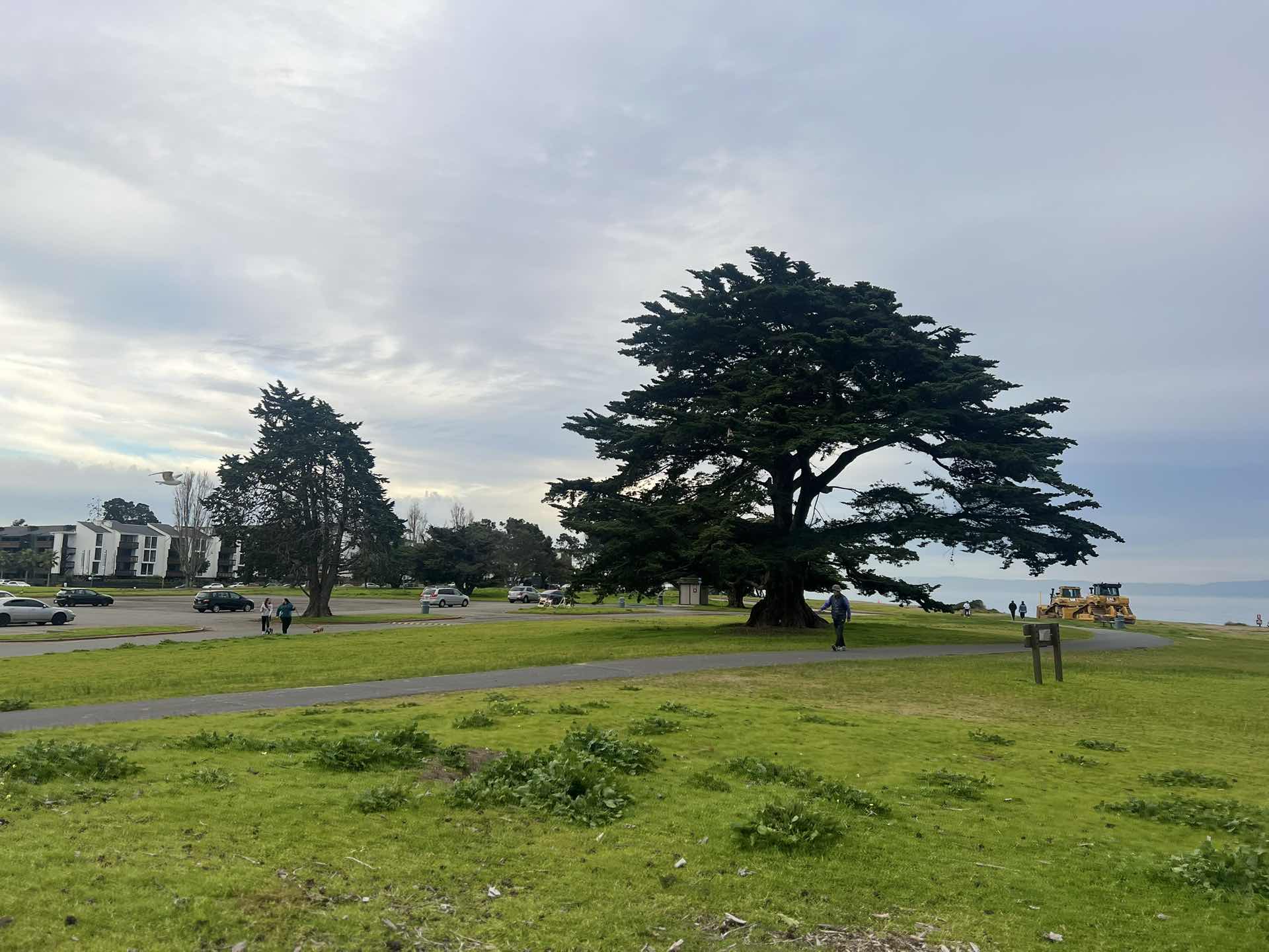 Crown Beach