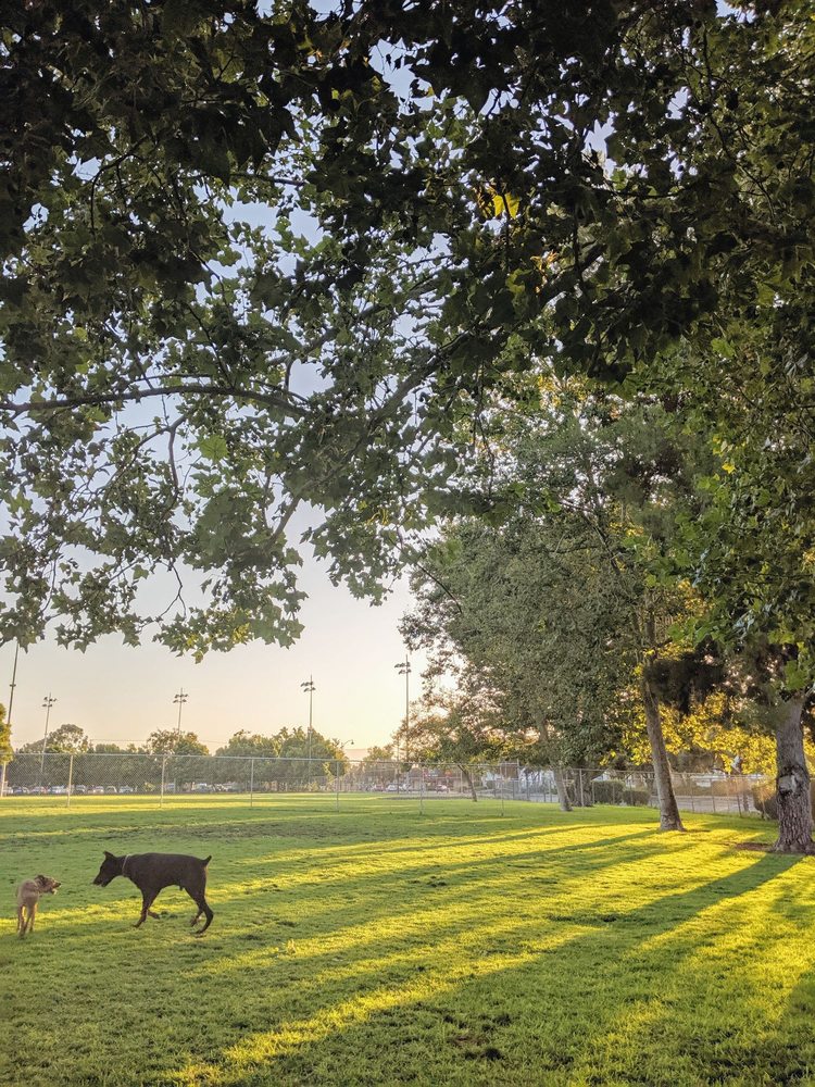 Larry J Marsalli Dog Park in Santa Clara