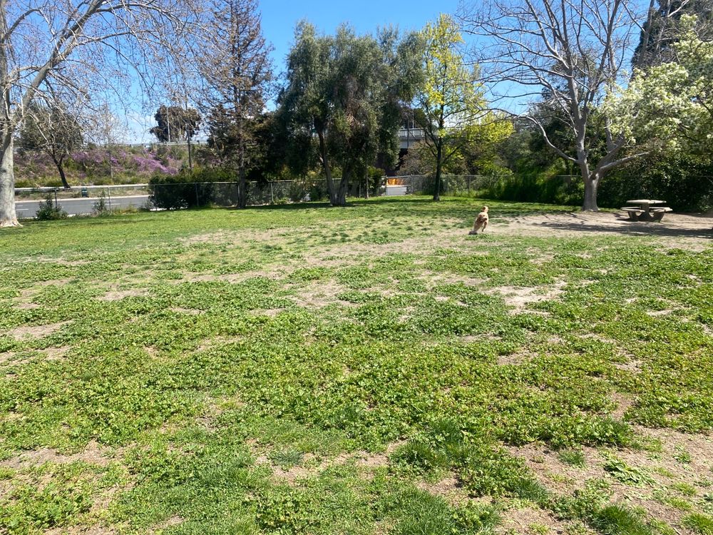 Larry J Marsalli Dog Park in Santa Clara