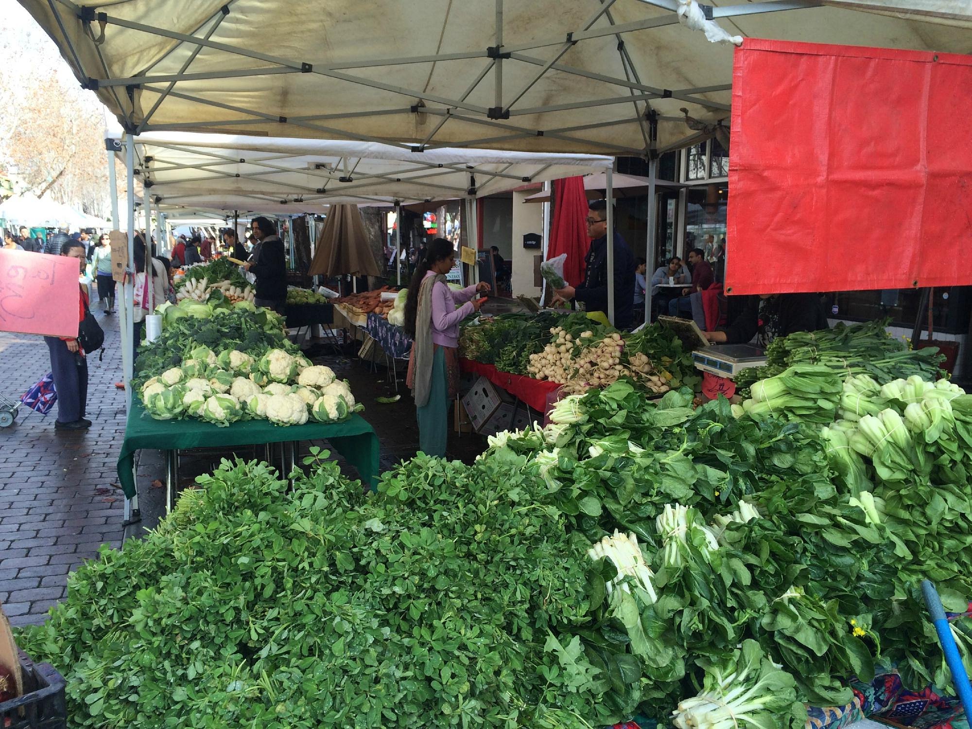 🌞 Sunnyvale Farmer's Market Extravaganza! 🌽🍓🎶