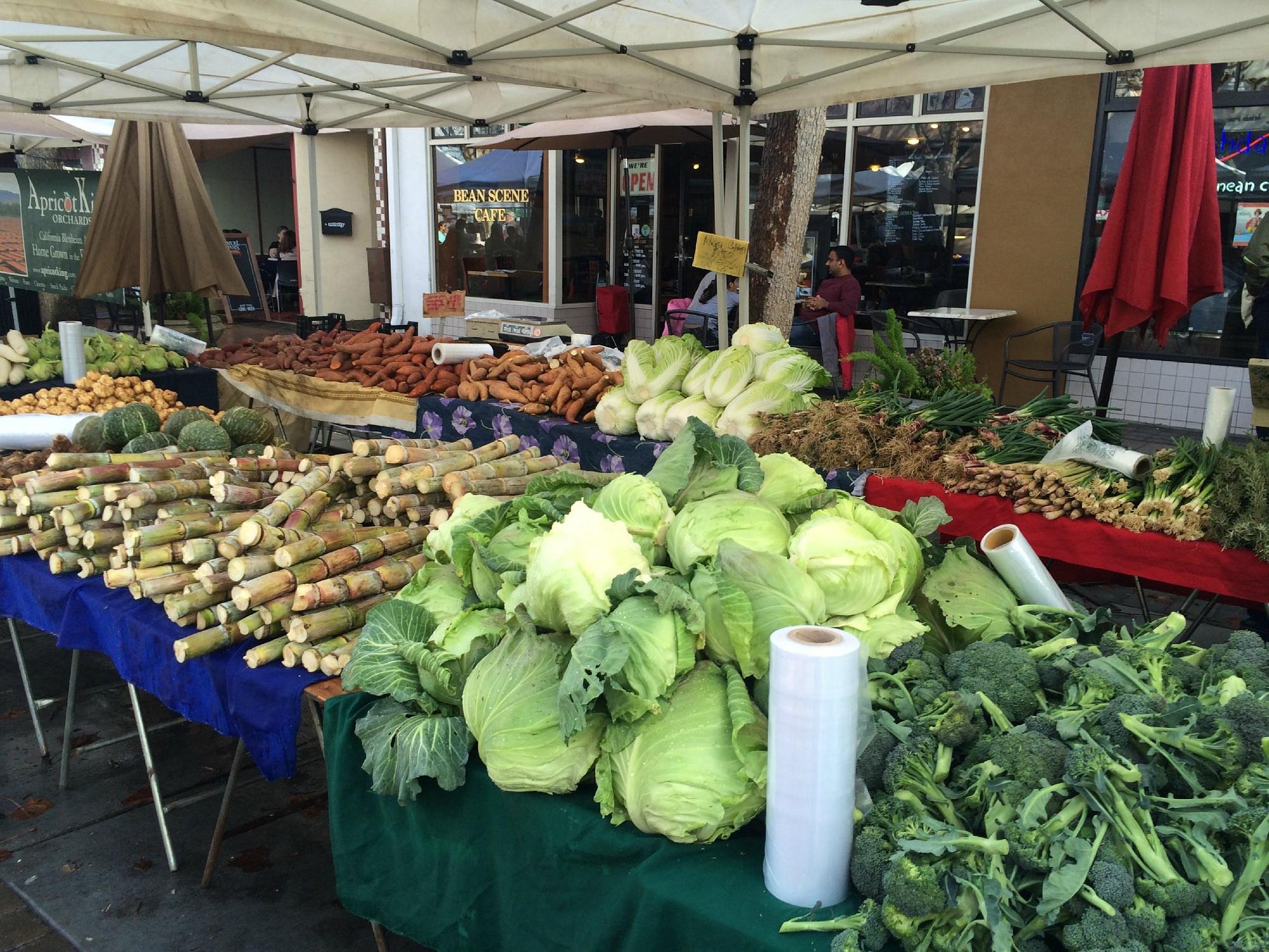 🌞 Sunnyvale Farmer's Market Extravaganza! 🌽🍓🎶