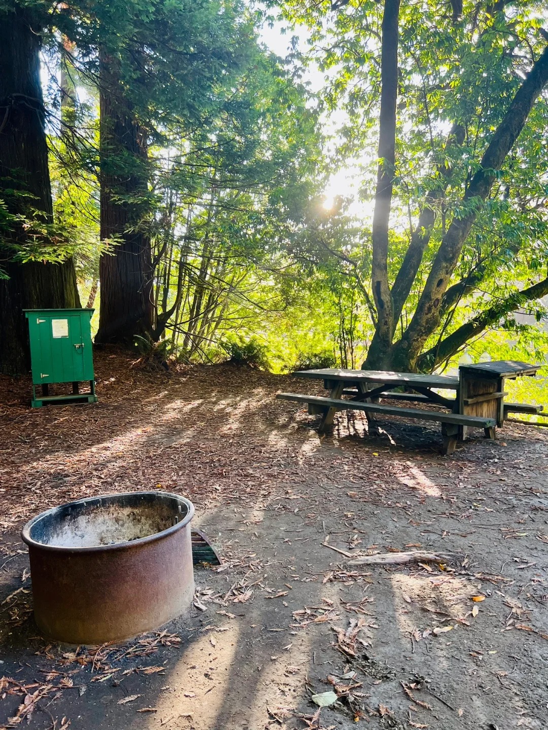 Gualala, a three-hour fairy camp in the north of the Bay Area