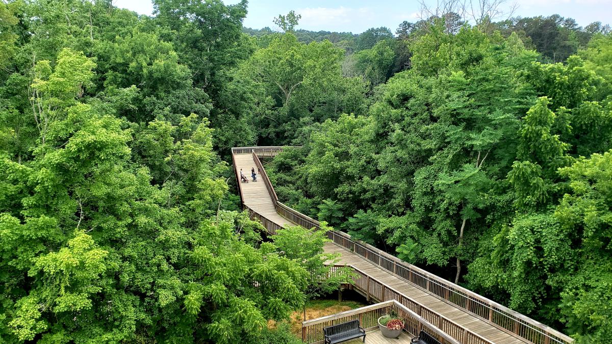 🚶‍♂️ Discovering Tranquility: A Peaceful Stroll along the Riverwalk! 🌳