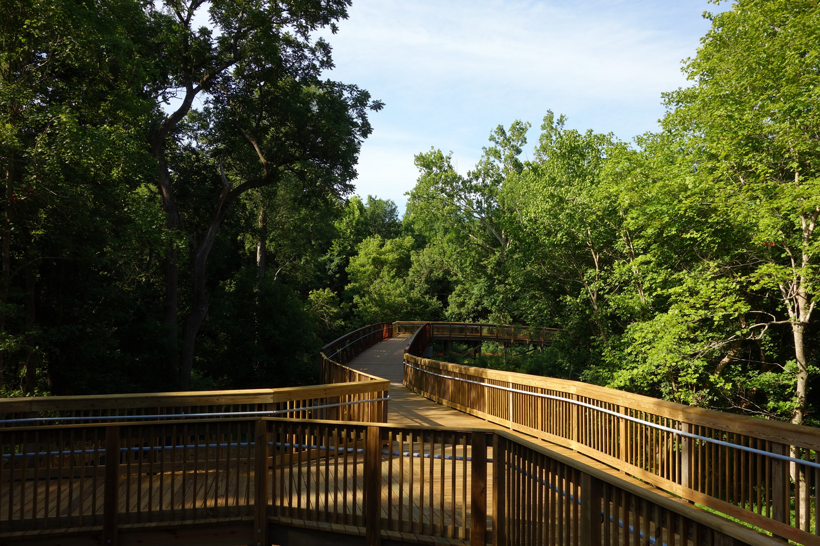 🚶‍♂️ Discovering Tranquility: A Peaceful Stroll along the Riverwalk! 🌳
