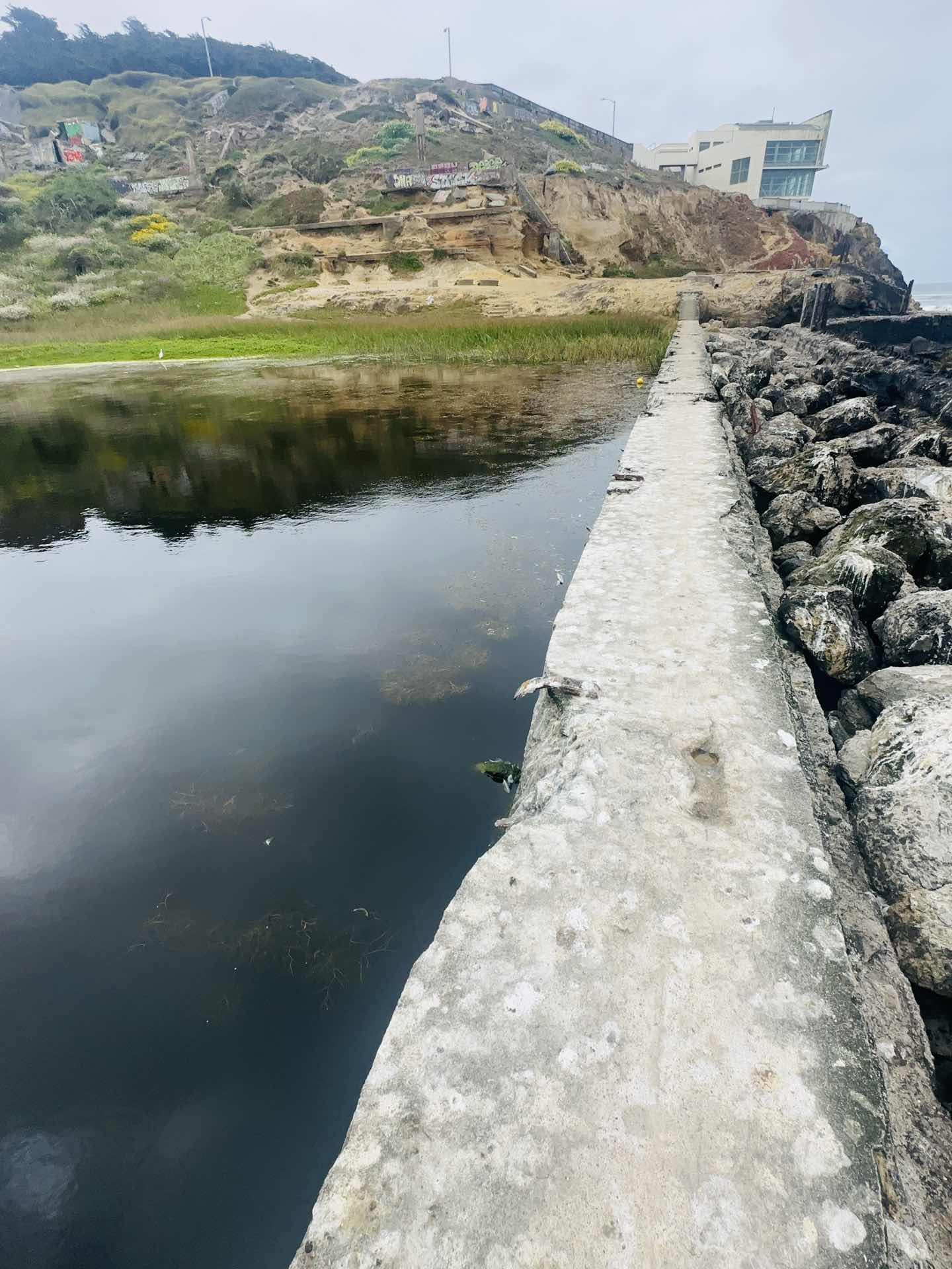 Nature ❤️❤️