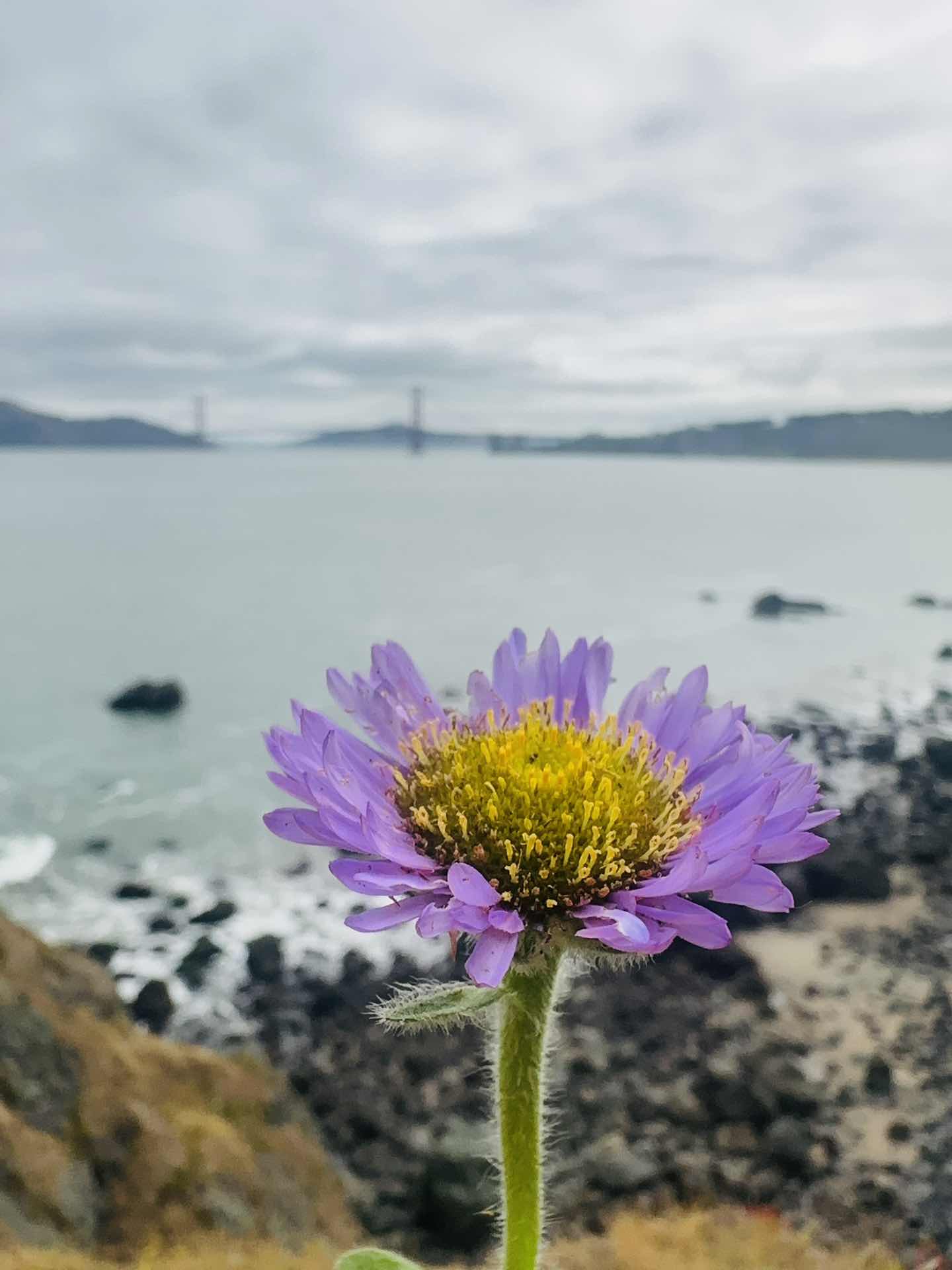 Nature ❤️❤️