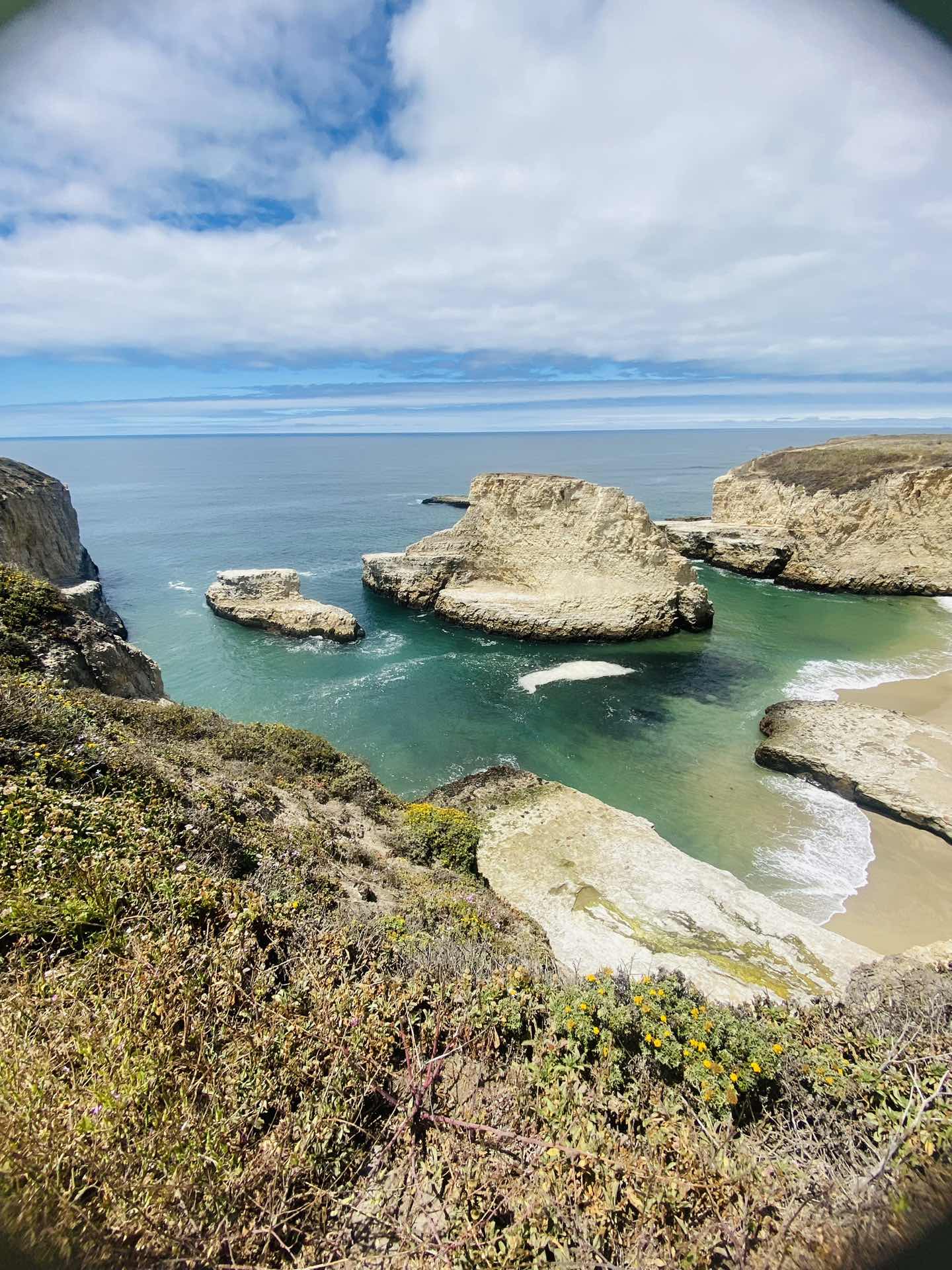 Santa Cruz ❤️❤️