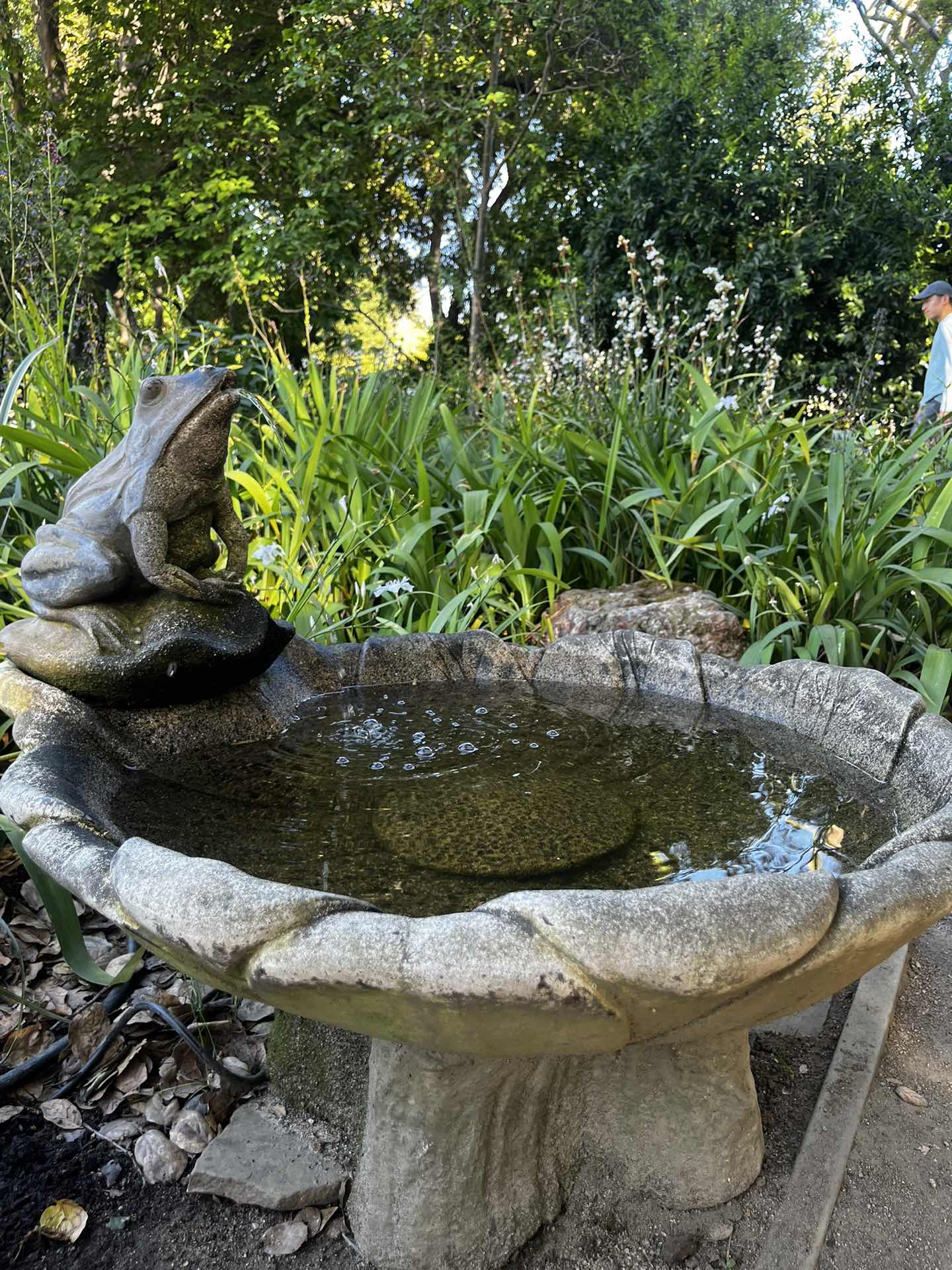 Gamble Garden