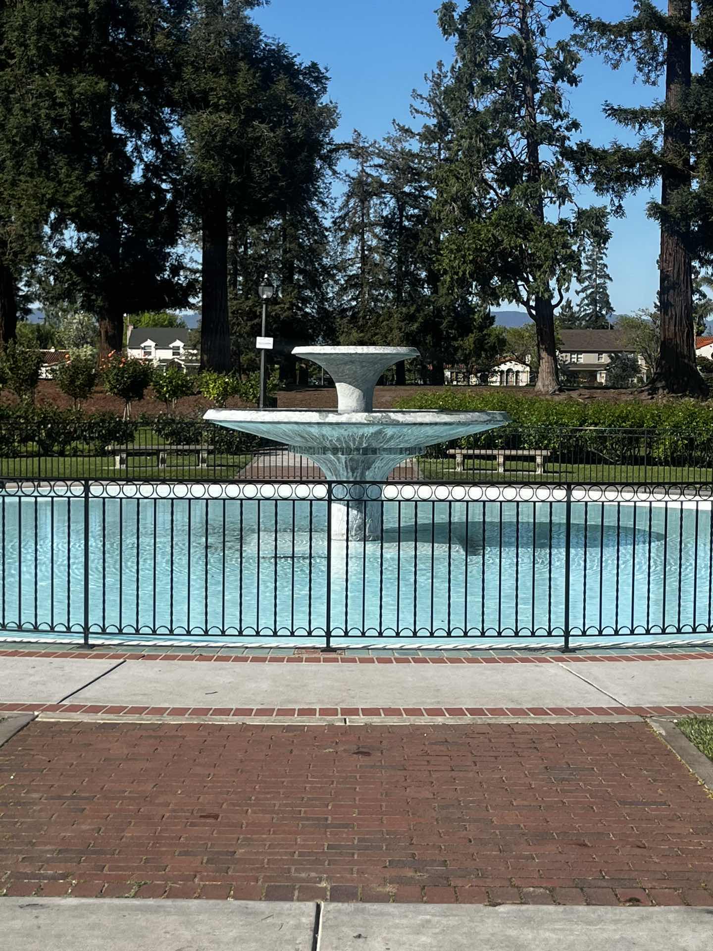 Rose Garden