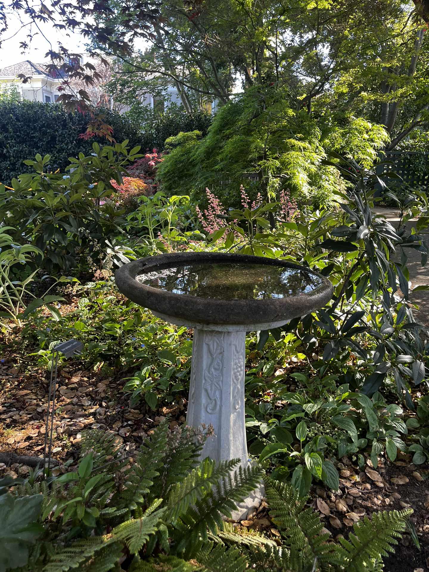 Gamble Garden