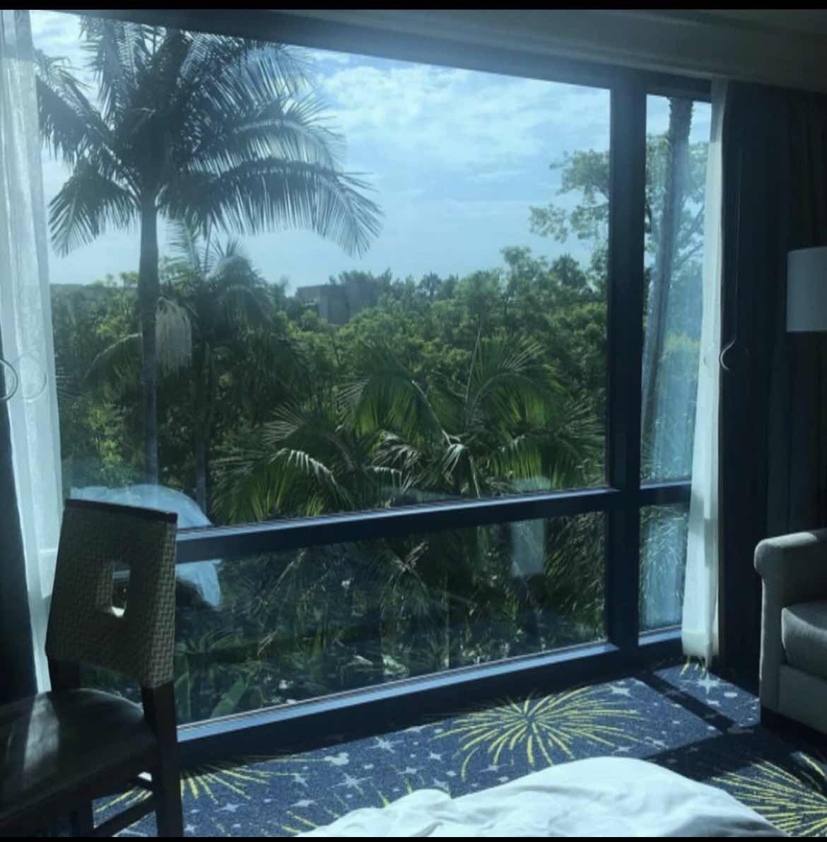 Disney Hotel