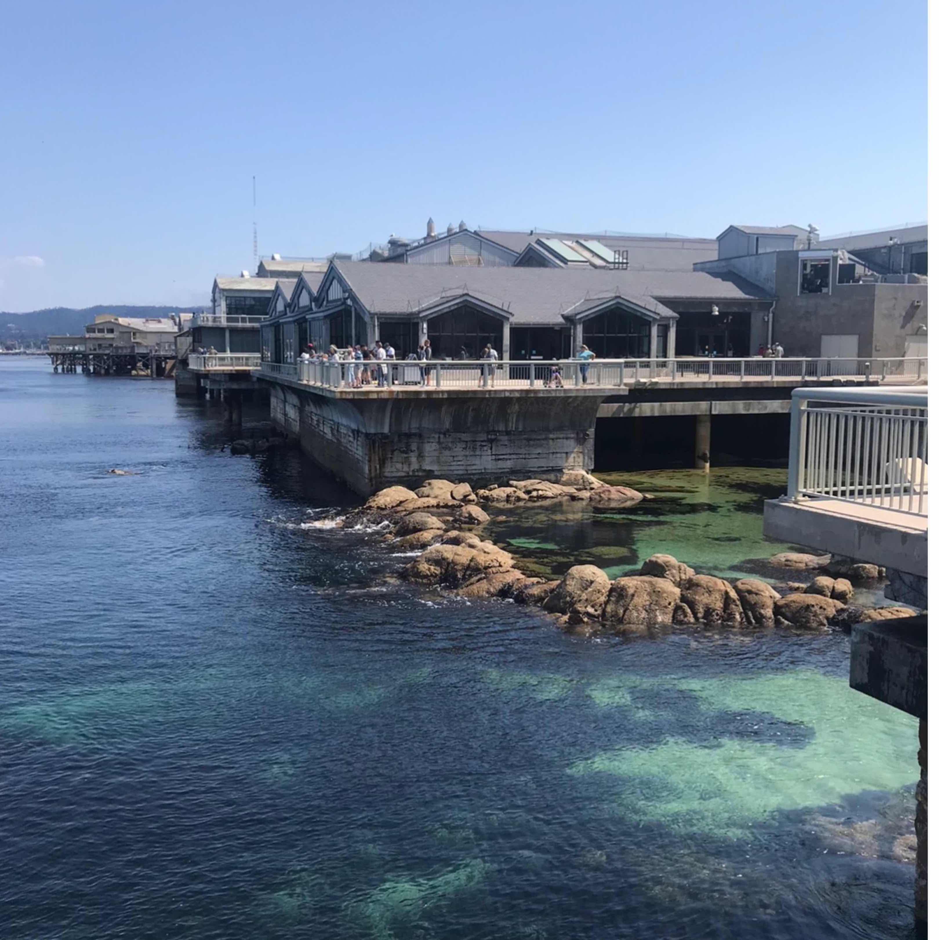 Monterey Bay Aquarium 