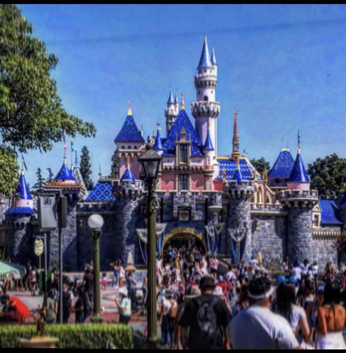 Disney Hotel