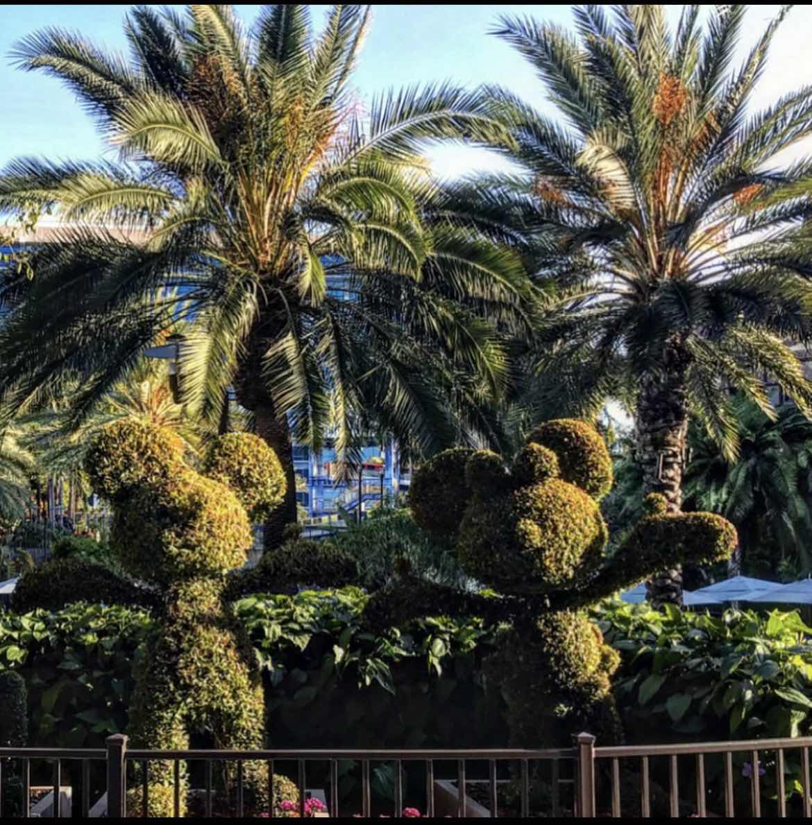 Disney Hotel