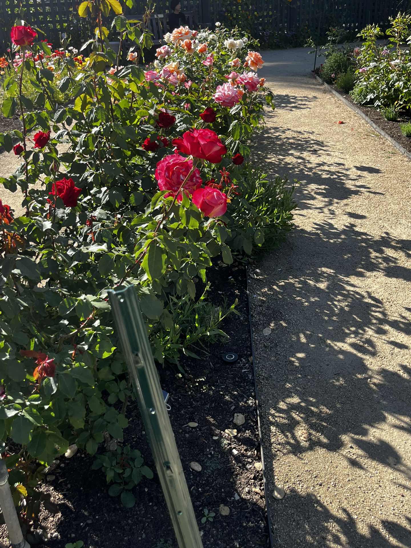 Gamble Garden