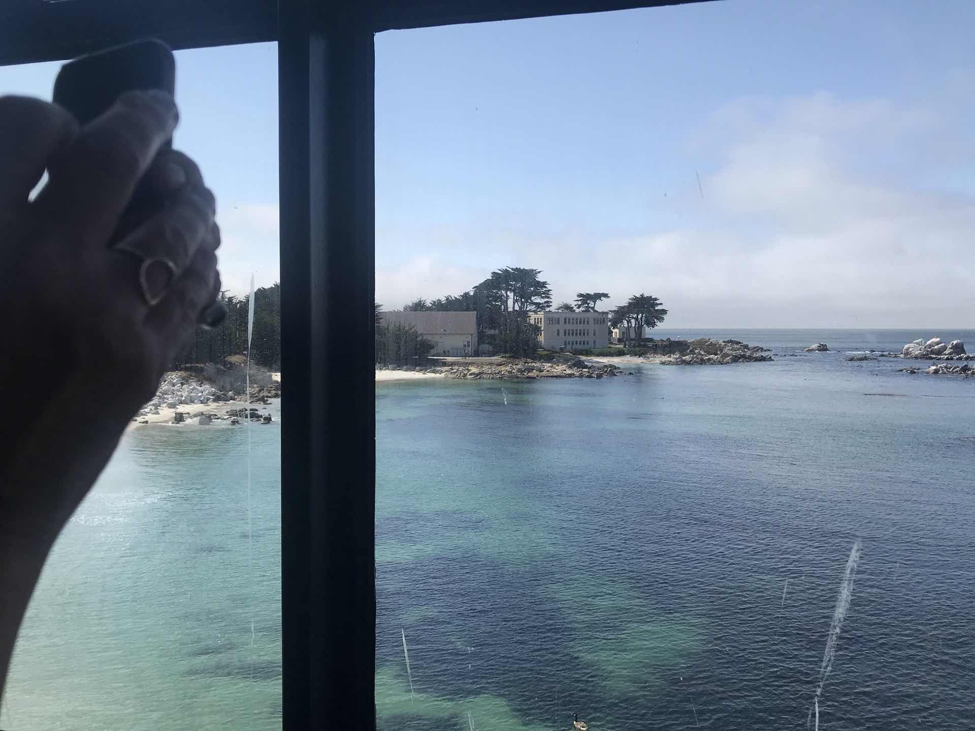 Monterey Bay Aquarium 