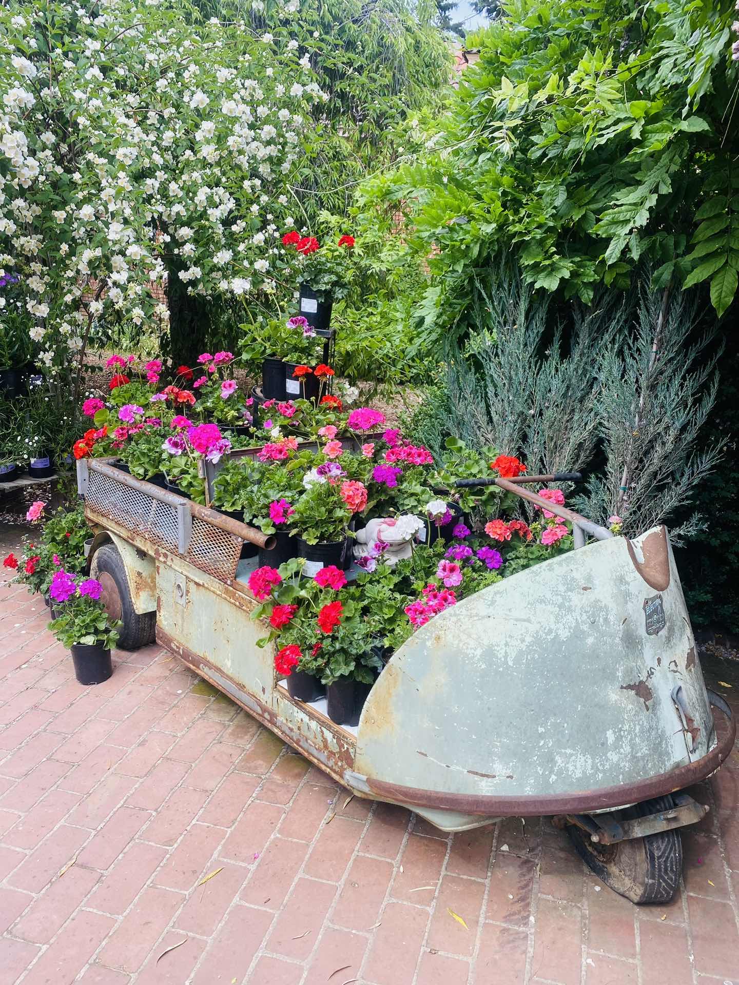 🌷🌷❤️❤️