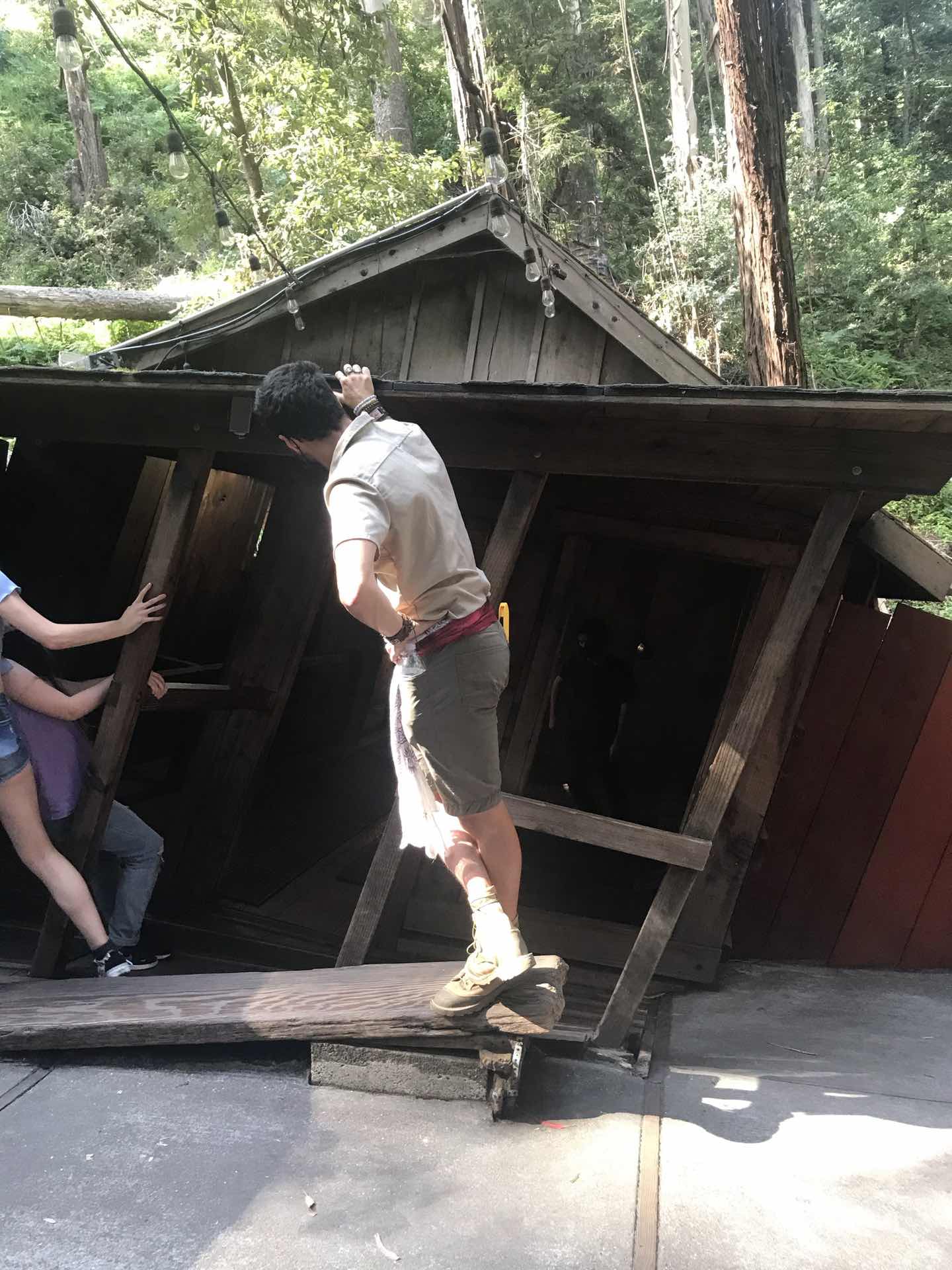 The Mystery Spot