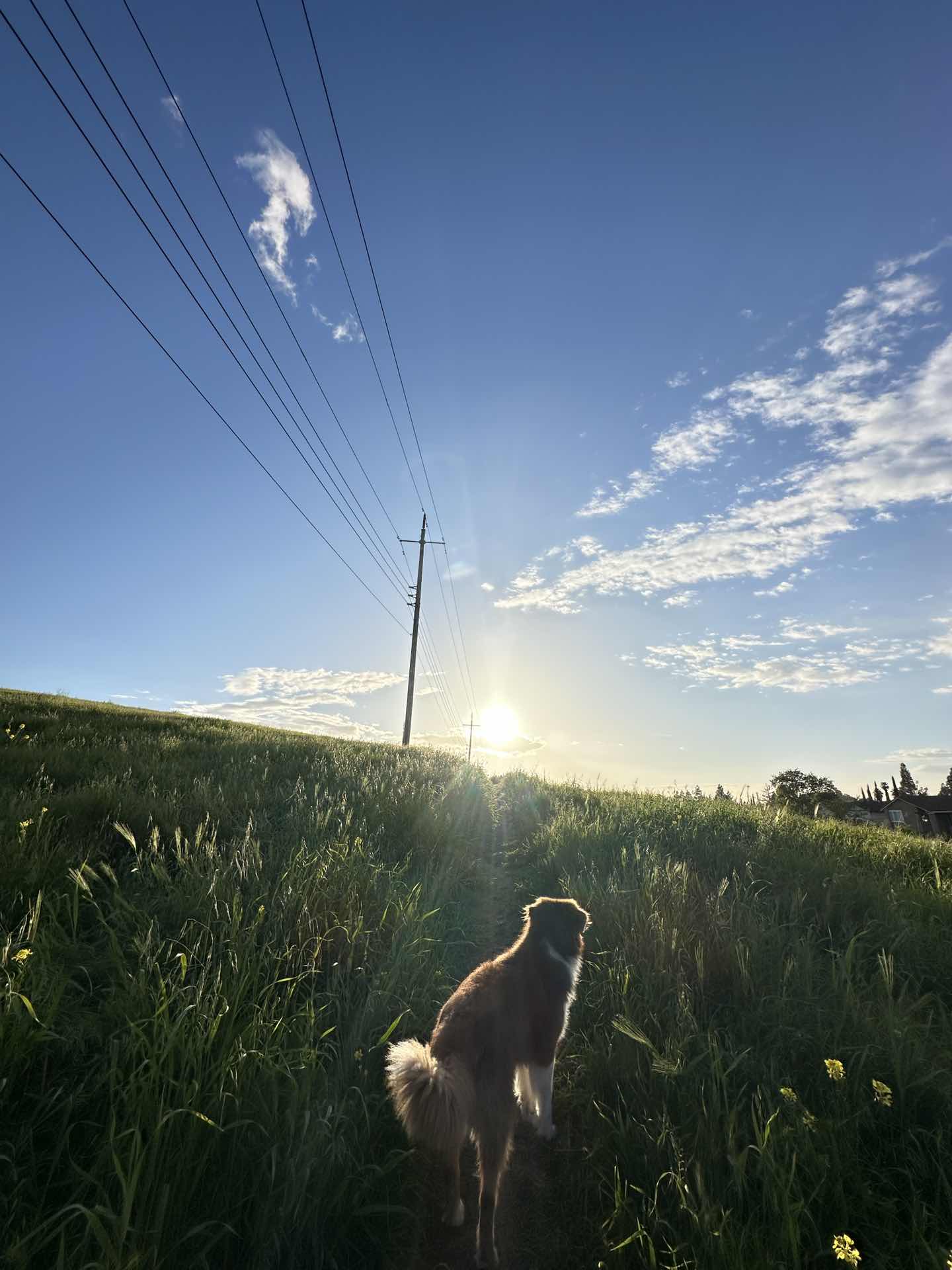 Beautiful sunset walk