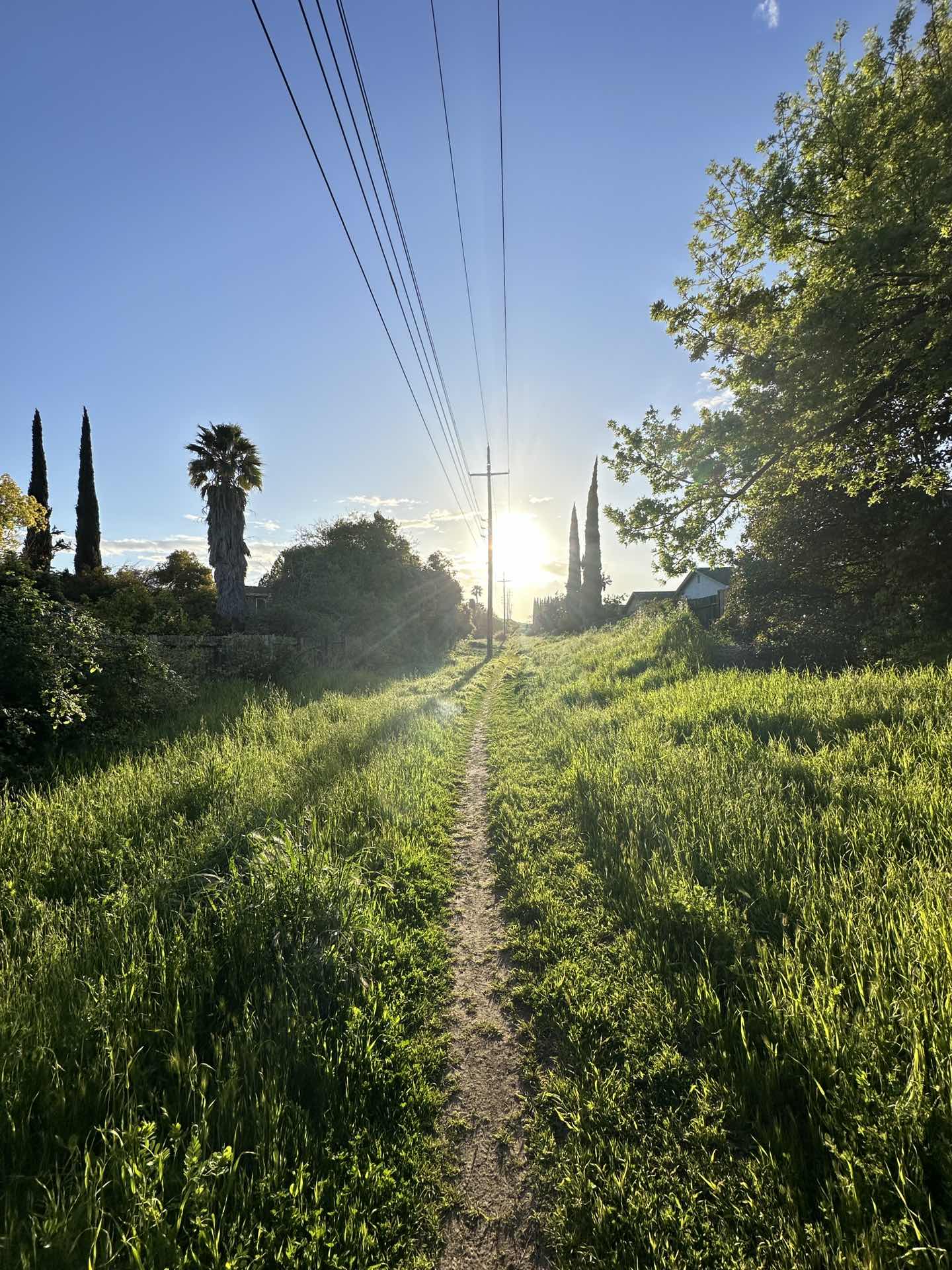 Beautiful sunset walk