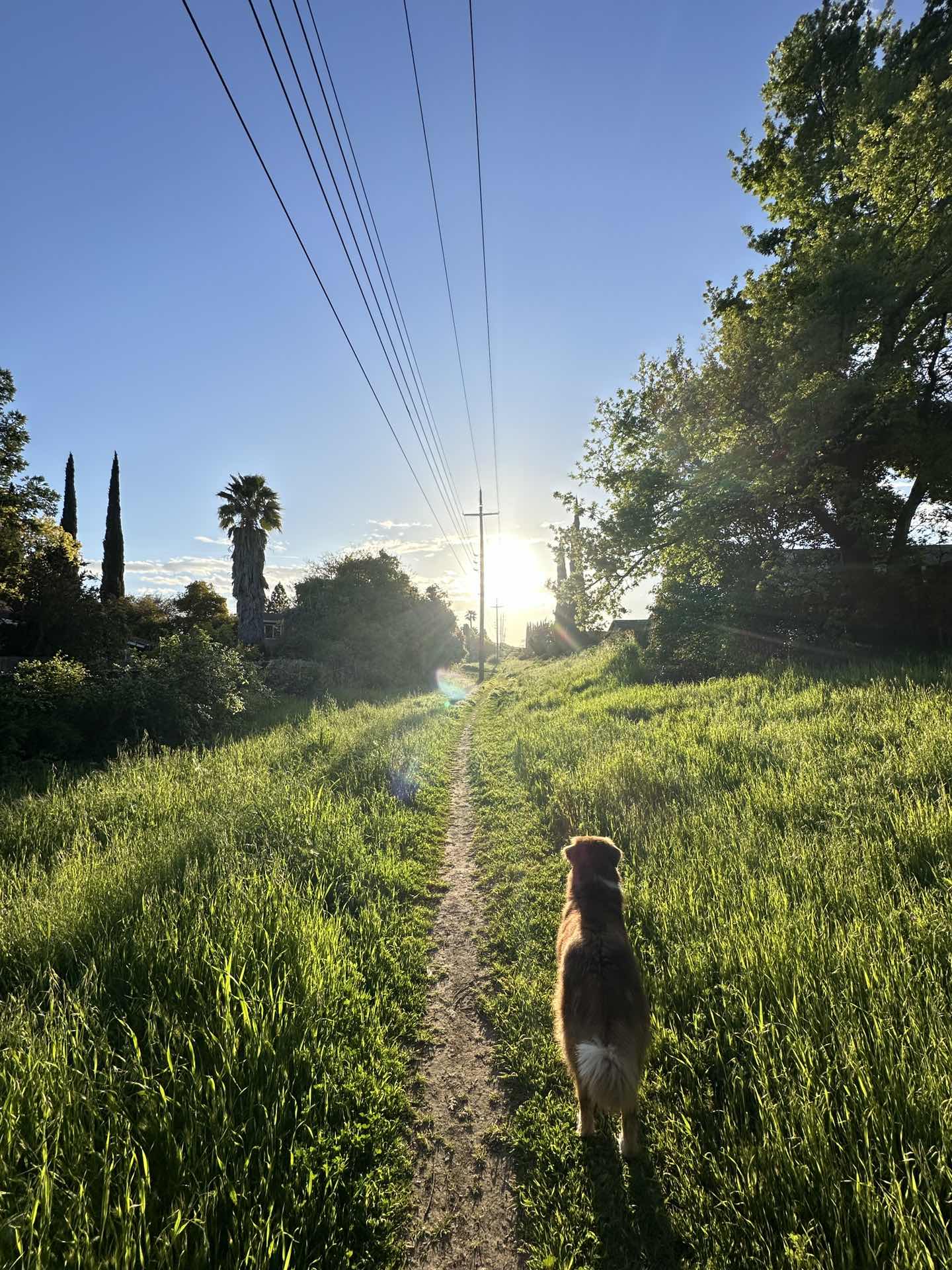 Beautiful sunset walk