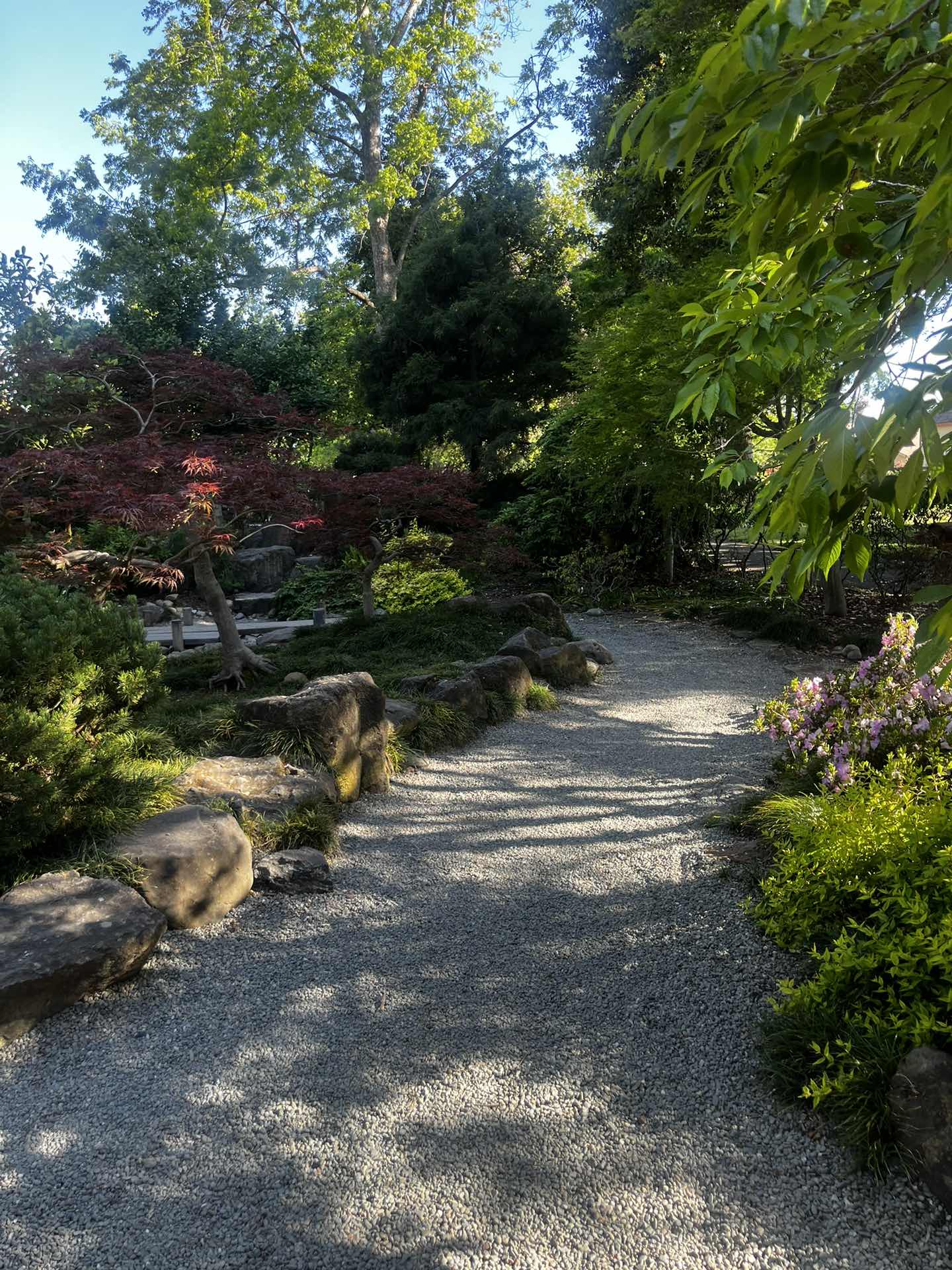 Shinn park
