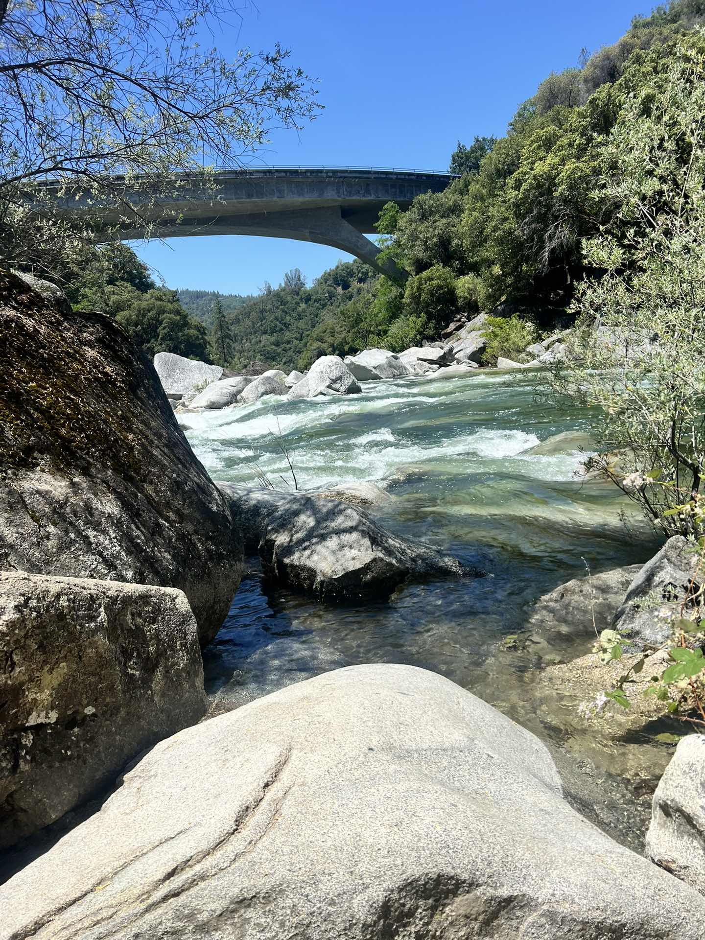 Yuba River 