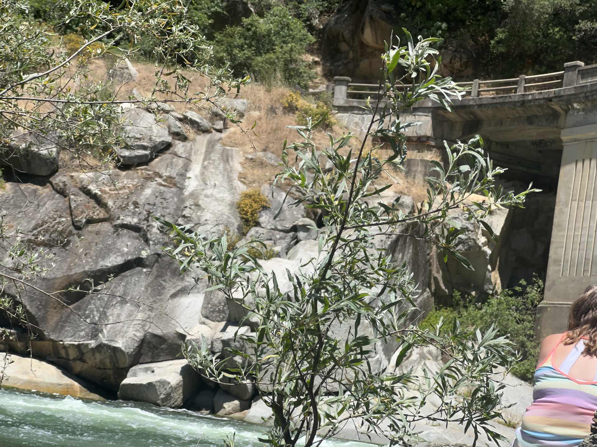 Yuba River 