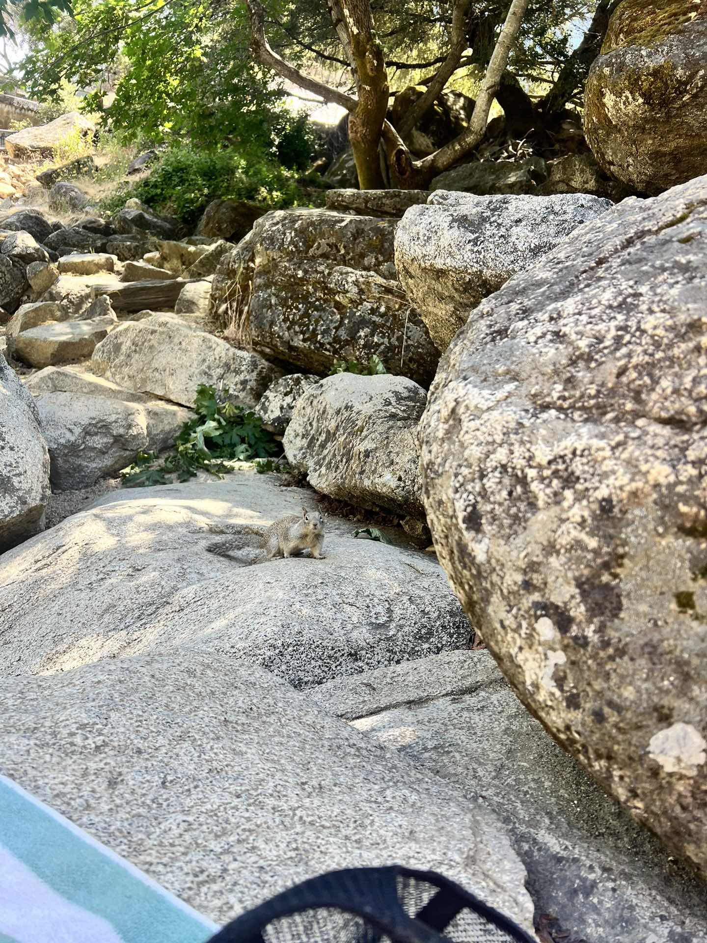 Yuba River 