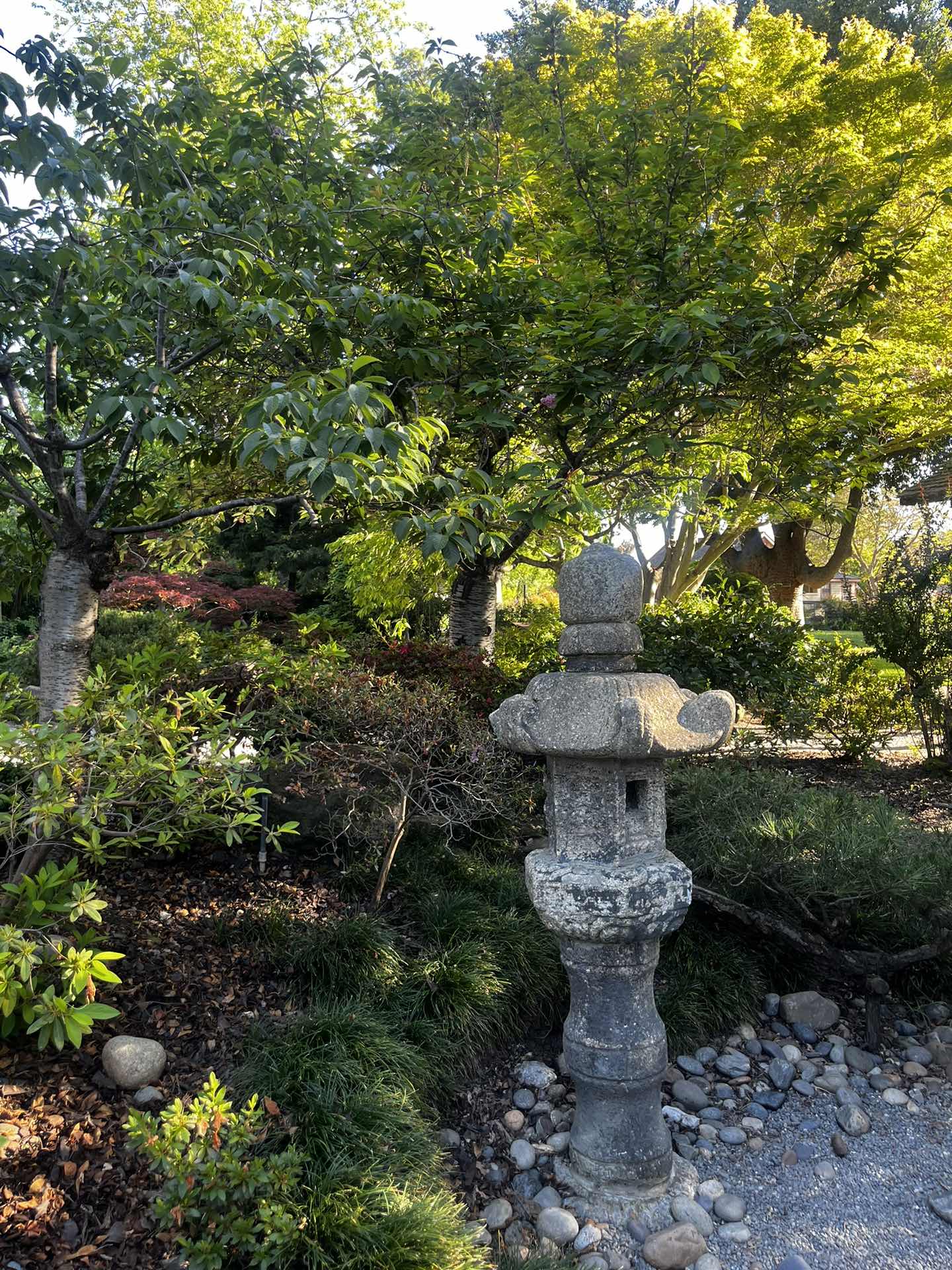 Shinn park