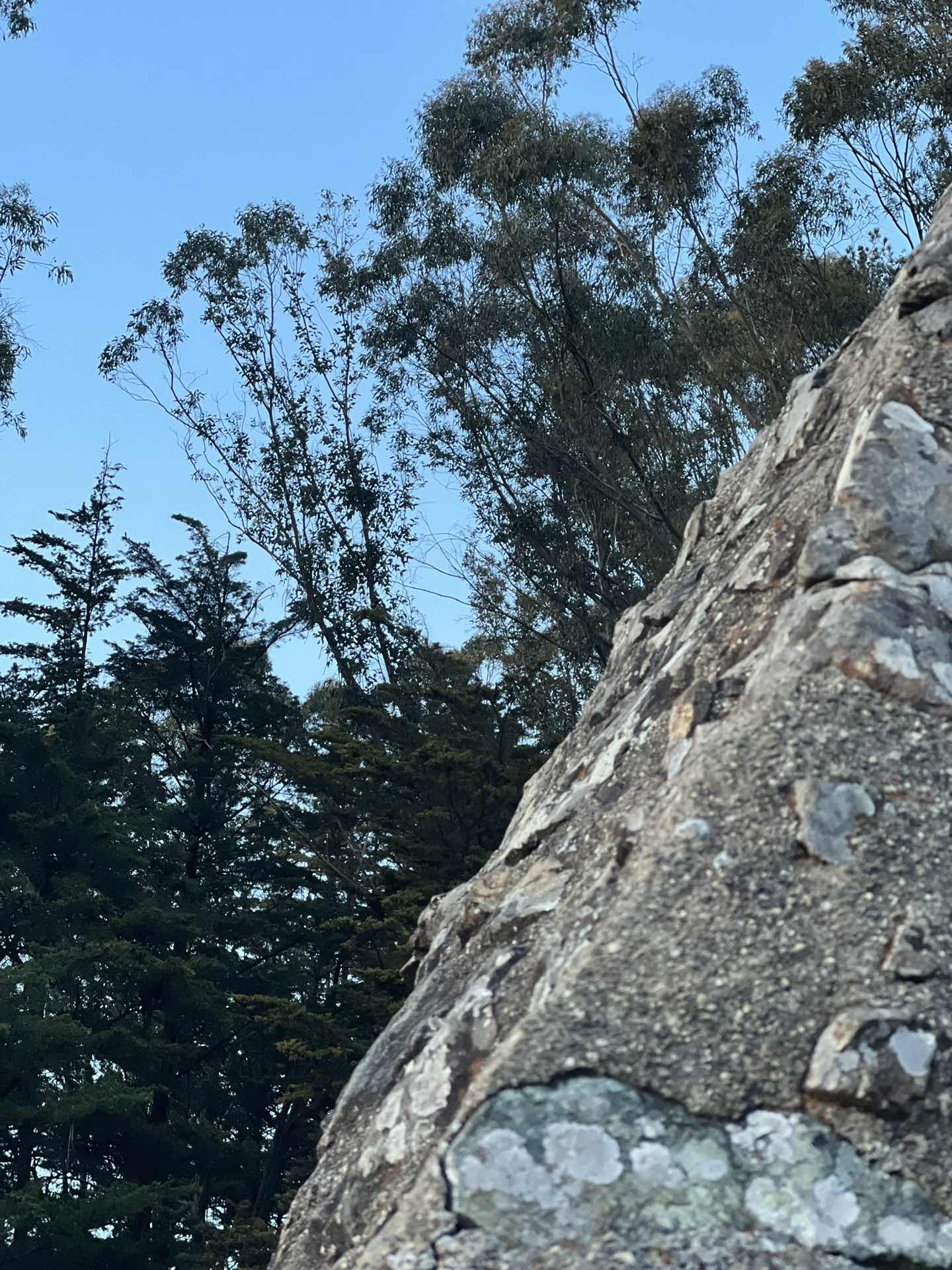 Joaquin Milker Hike 