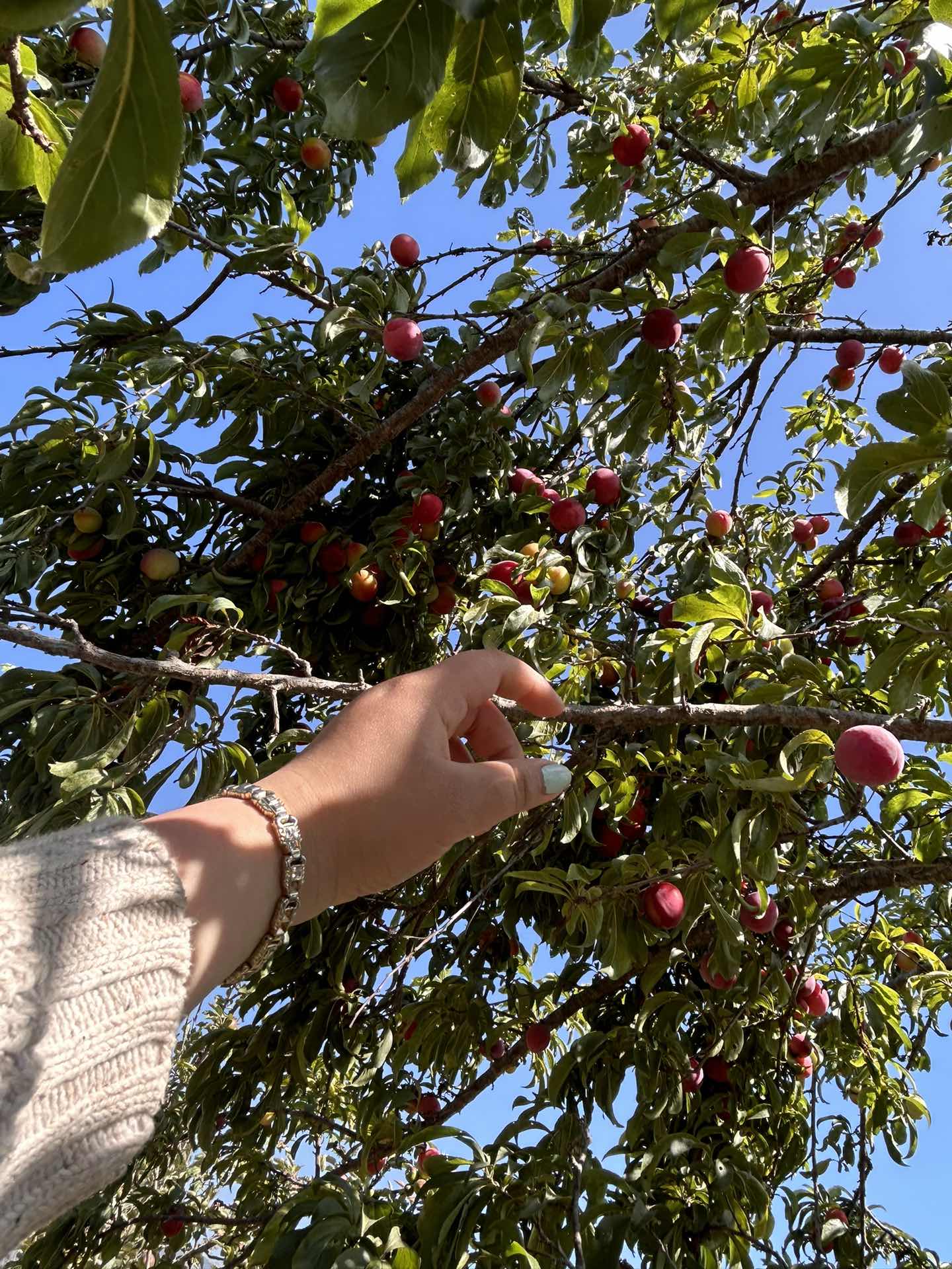 So pretty 🤩 definitely recommend visiting sometime