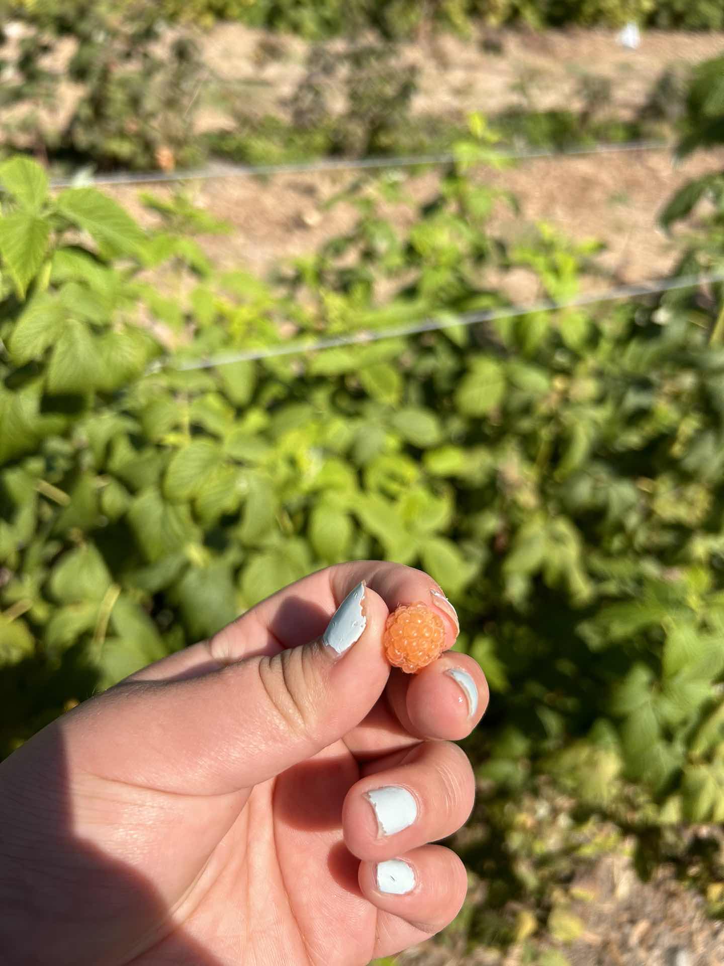 So pretty 🤩 definitely recommend visiting sometime