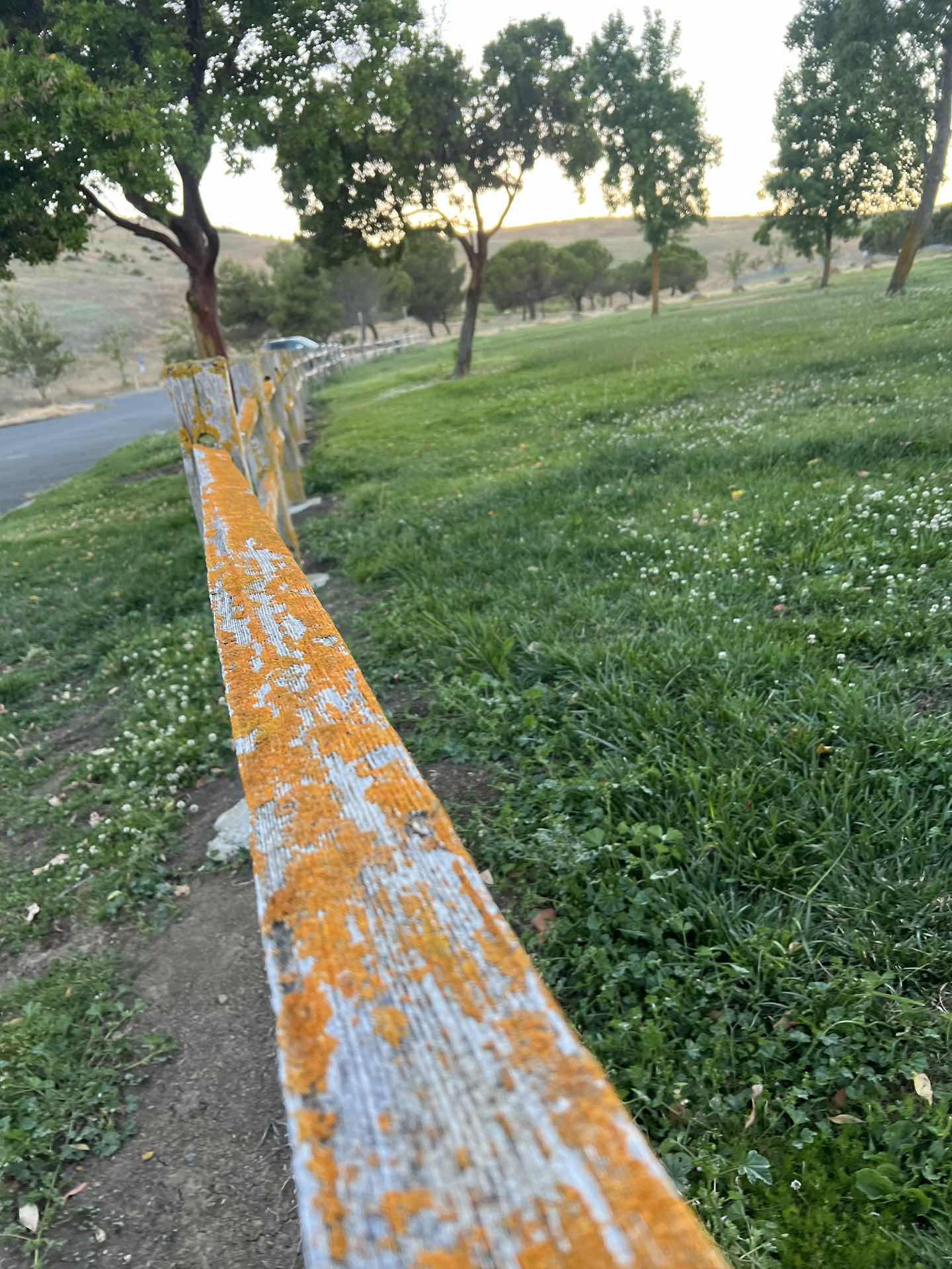 Benicia Community Park