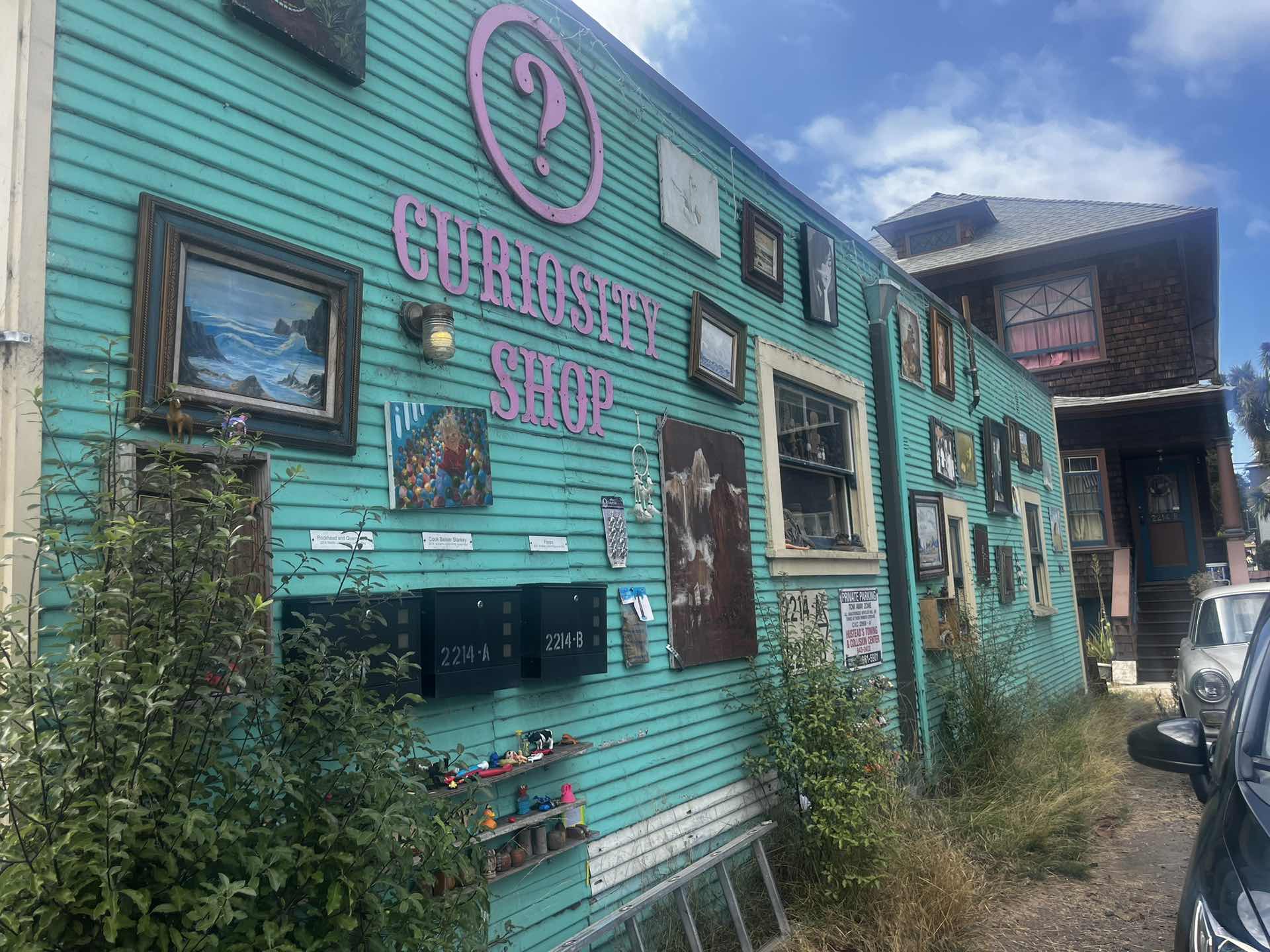 Curiosity Shop