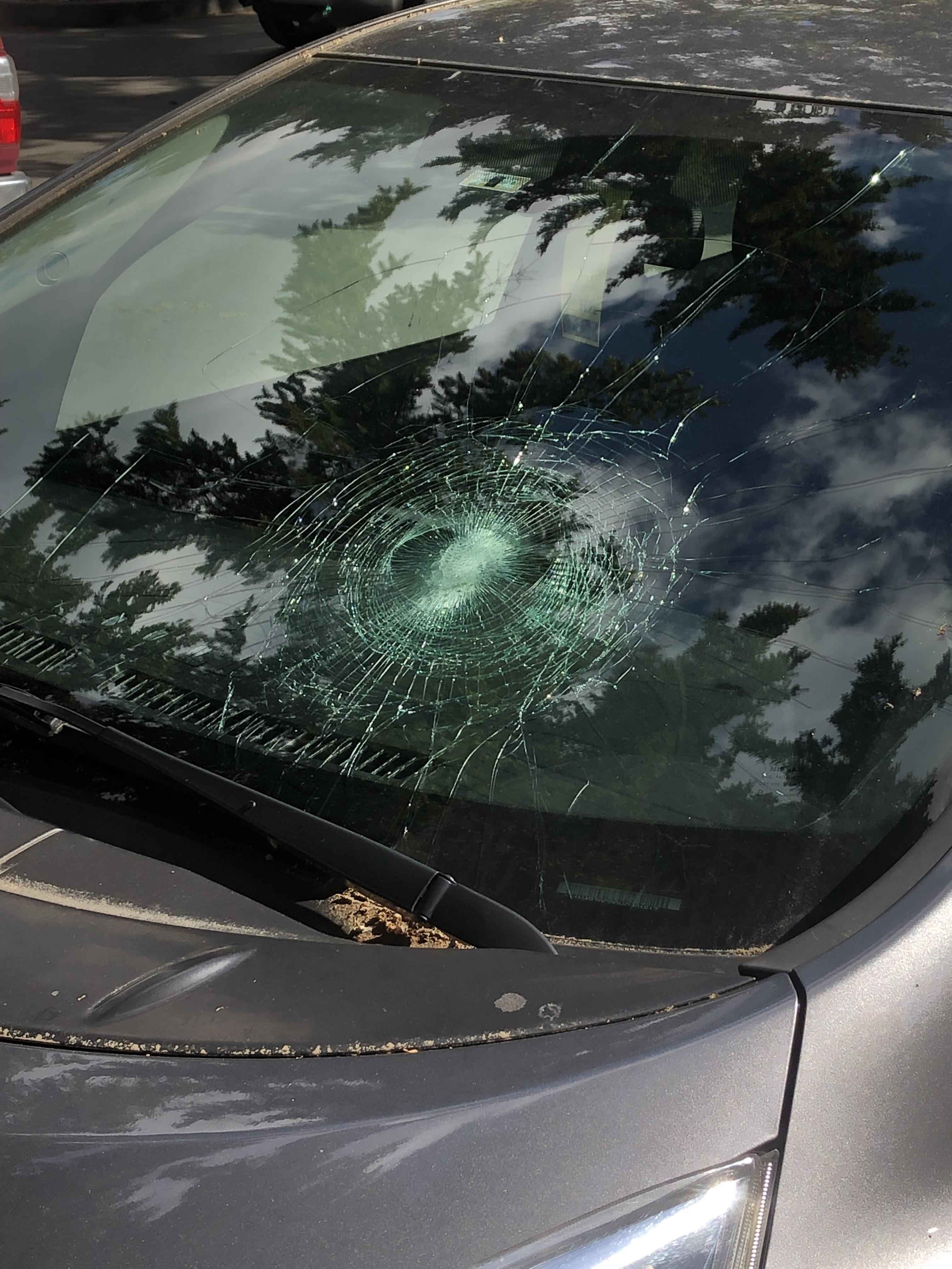 When a Golf Ball Shatters Your Car Window: What I Learned
