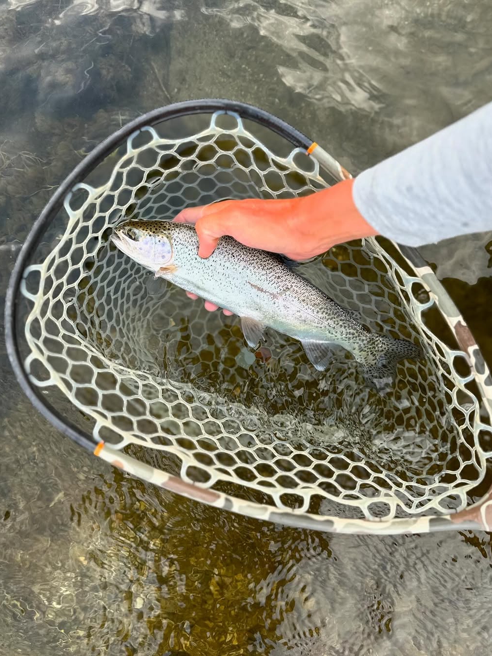 Trout Fishing? Watch the Water Temps!