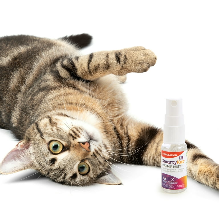 Catnip Spray: The Secret Weapon for Cat Chaos