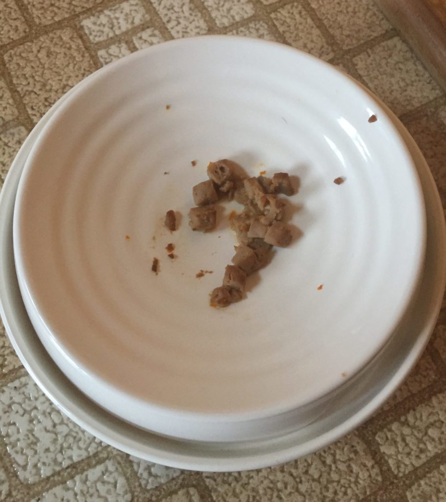 Wet Cat Food Storage: Save Your Cat, Save Your Sanity