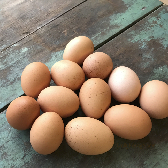 Wait, Eggs Aren’t Dairy?! Clearing Up a Common Food Mix-Up…