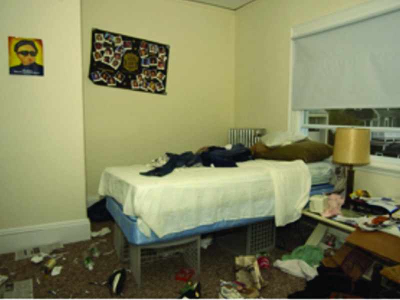 I Tried to DIY My Bed Bug Problem. Regret It.