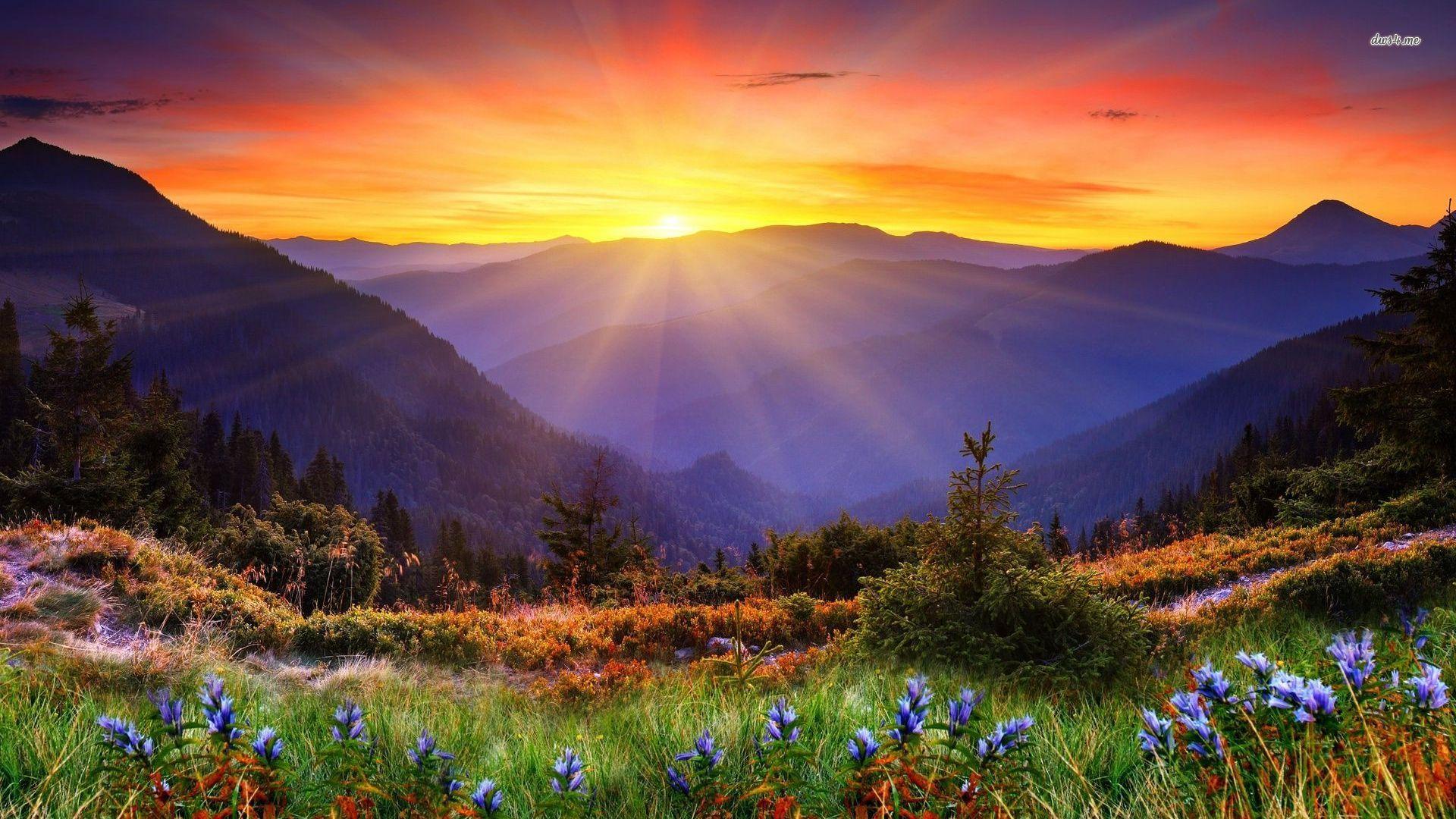 Will We All Be Okay? Navigating Uncertainty with Hope
