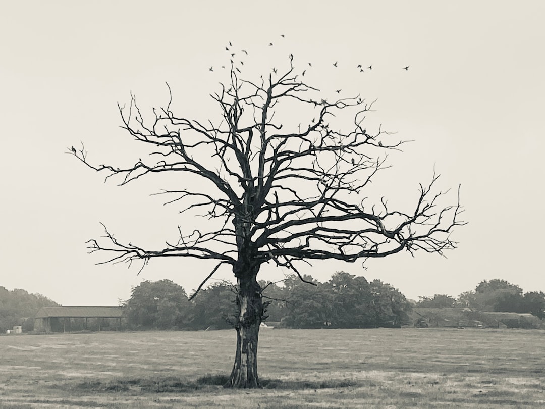 Turning Pain Into Purpose: My Journey Back From Rock Bottom