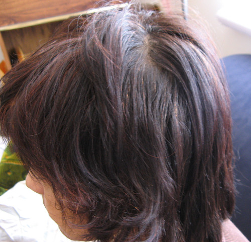 Grey Roots Peeking Through Highlights? Here’s How I Keep Them Undercover!