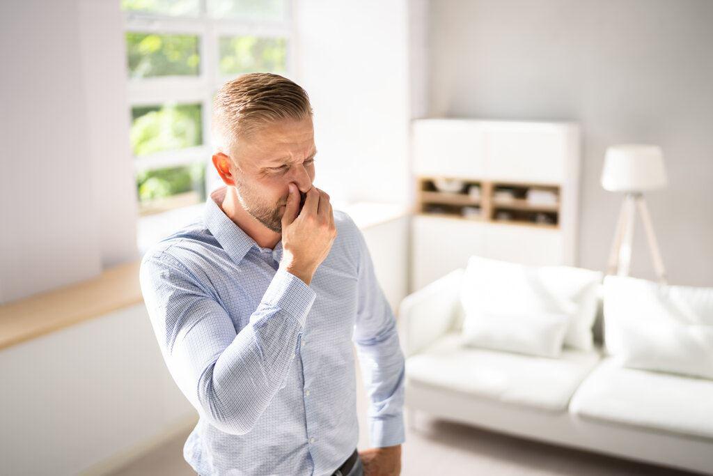 My DIY Fix for That Rotten Egg Smell Nearly Broke Me