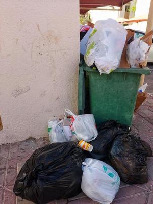 I Missed Trash Day. My Apartment Turned On Me.